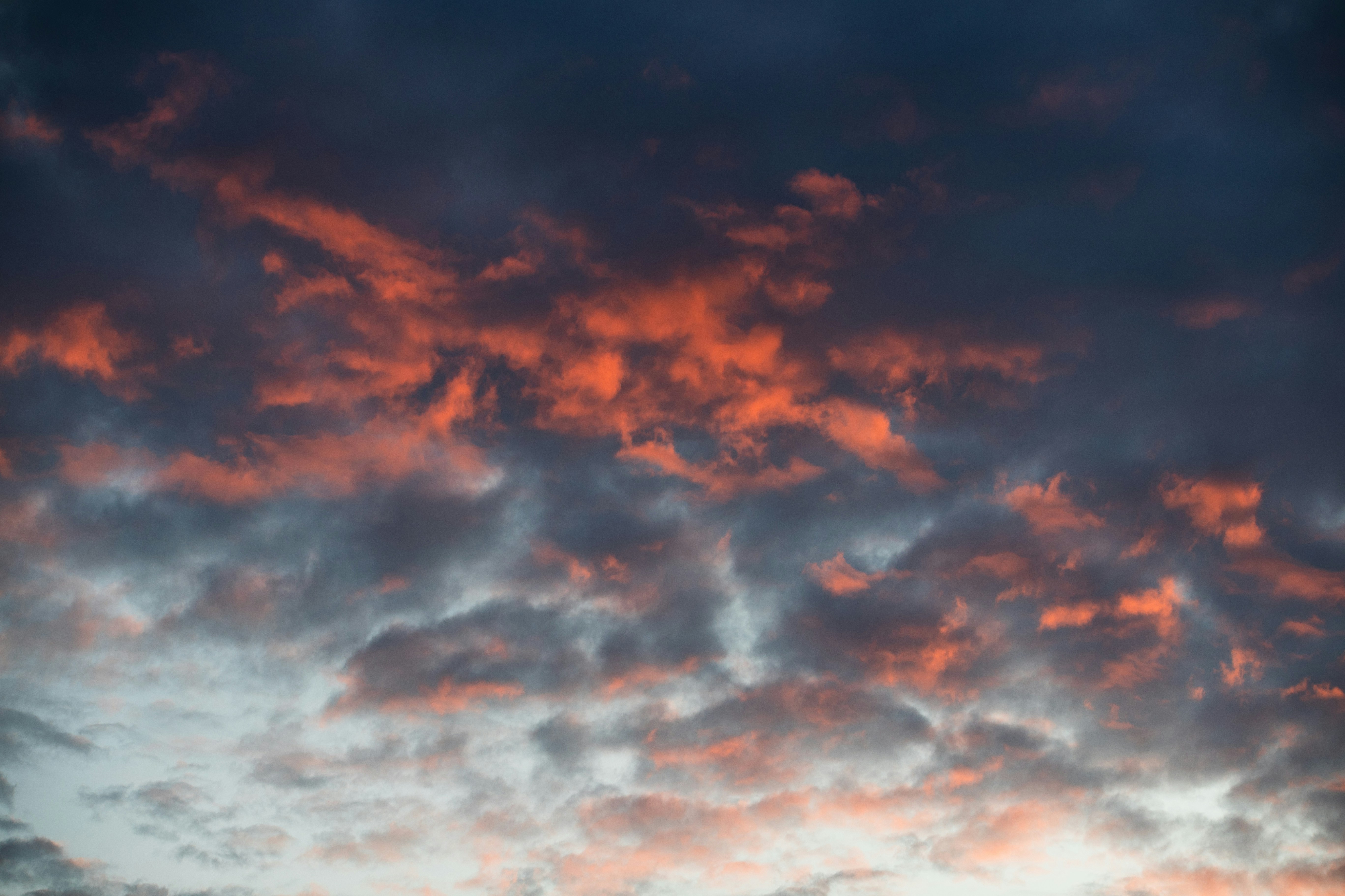 Photo by tandemxvisuals