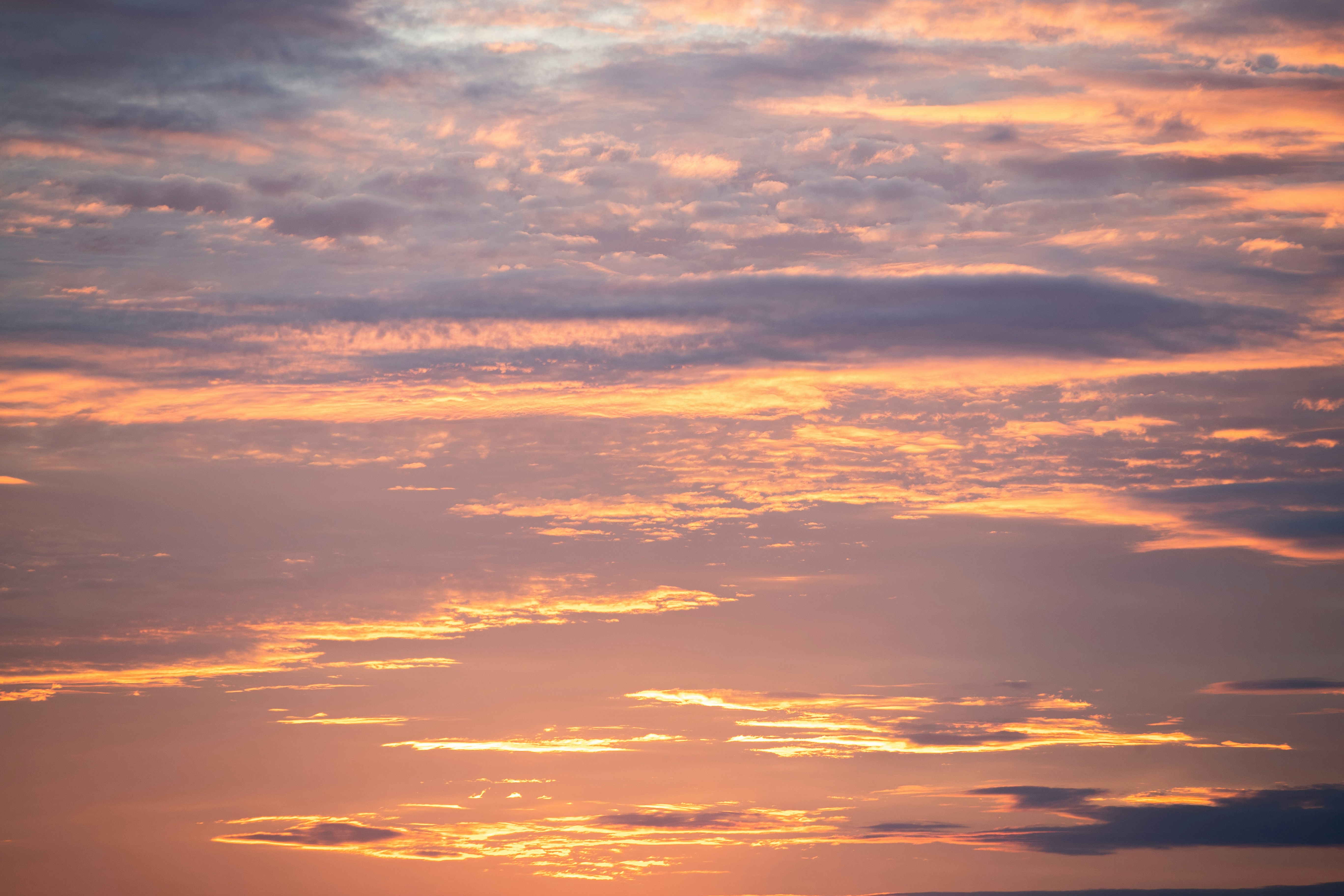 Photo by tandemxvisuals