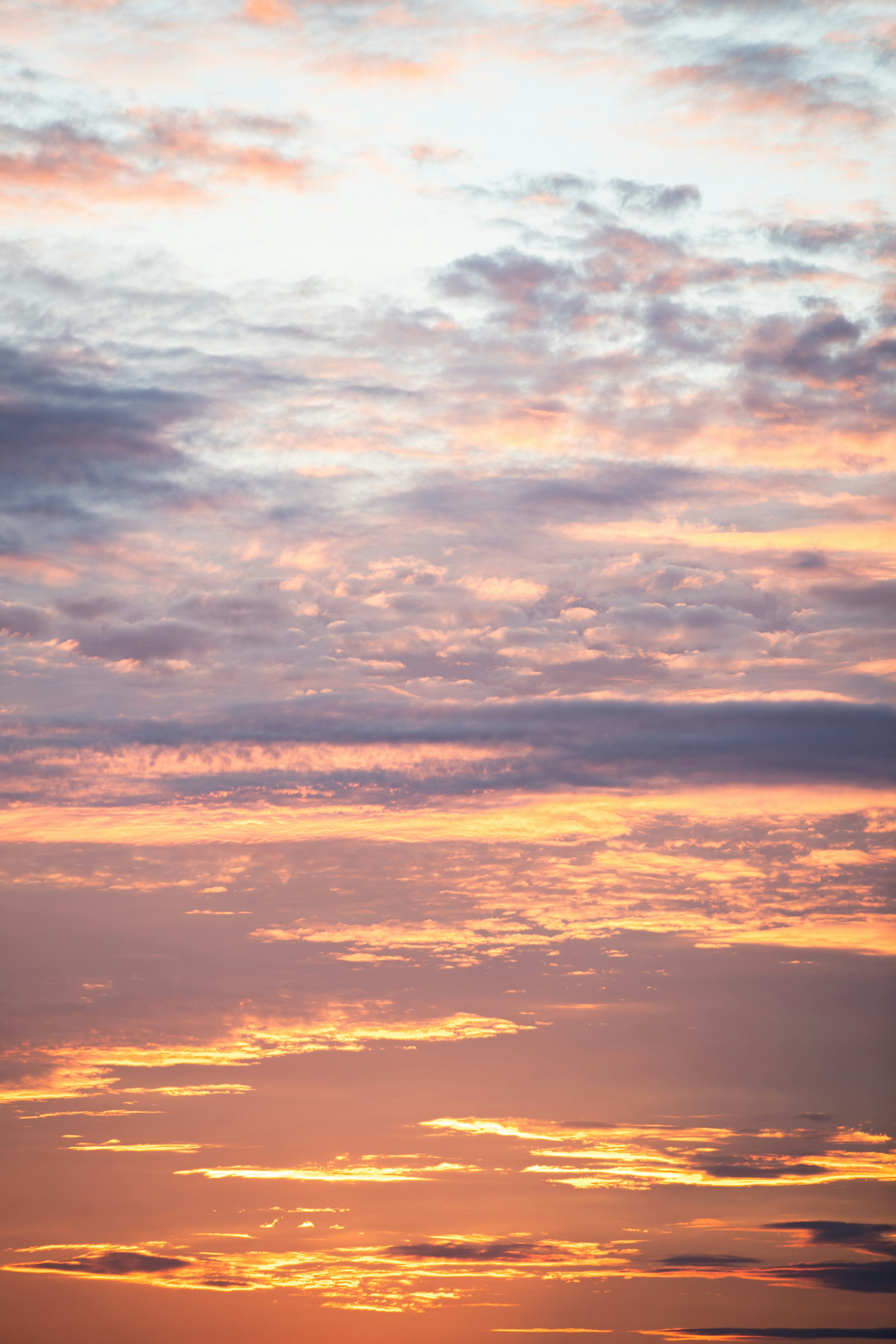 Photo by tandemxvisuals