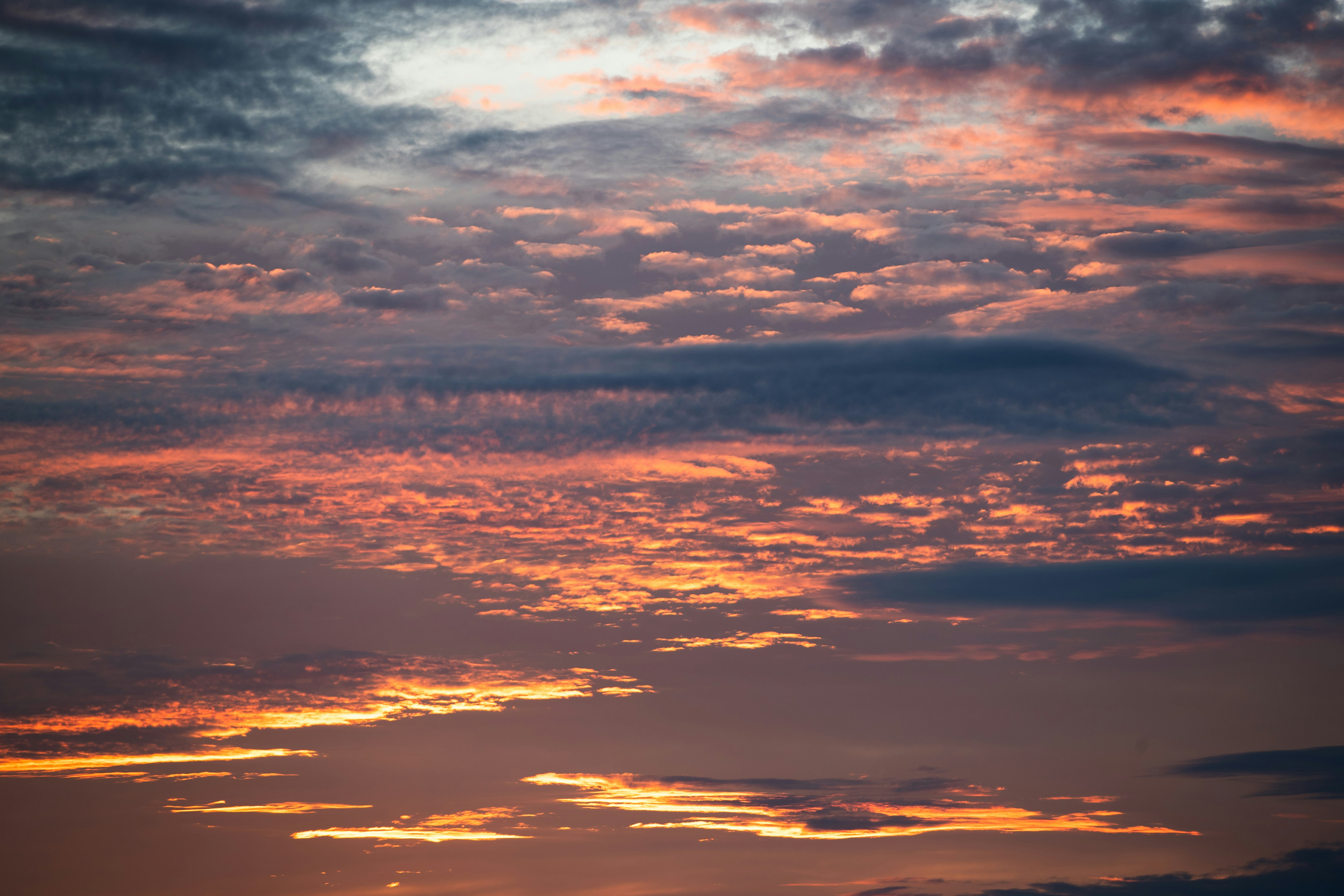 Photo by tandemxvisuals