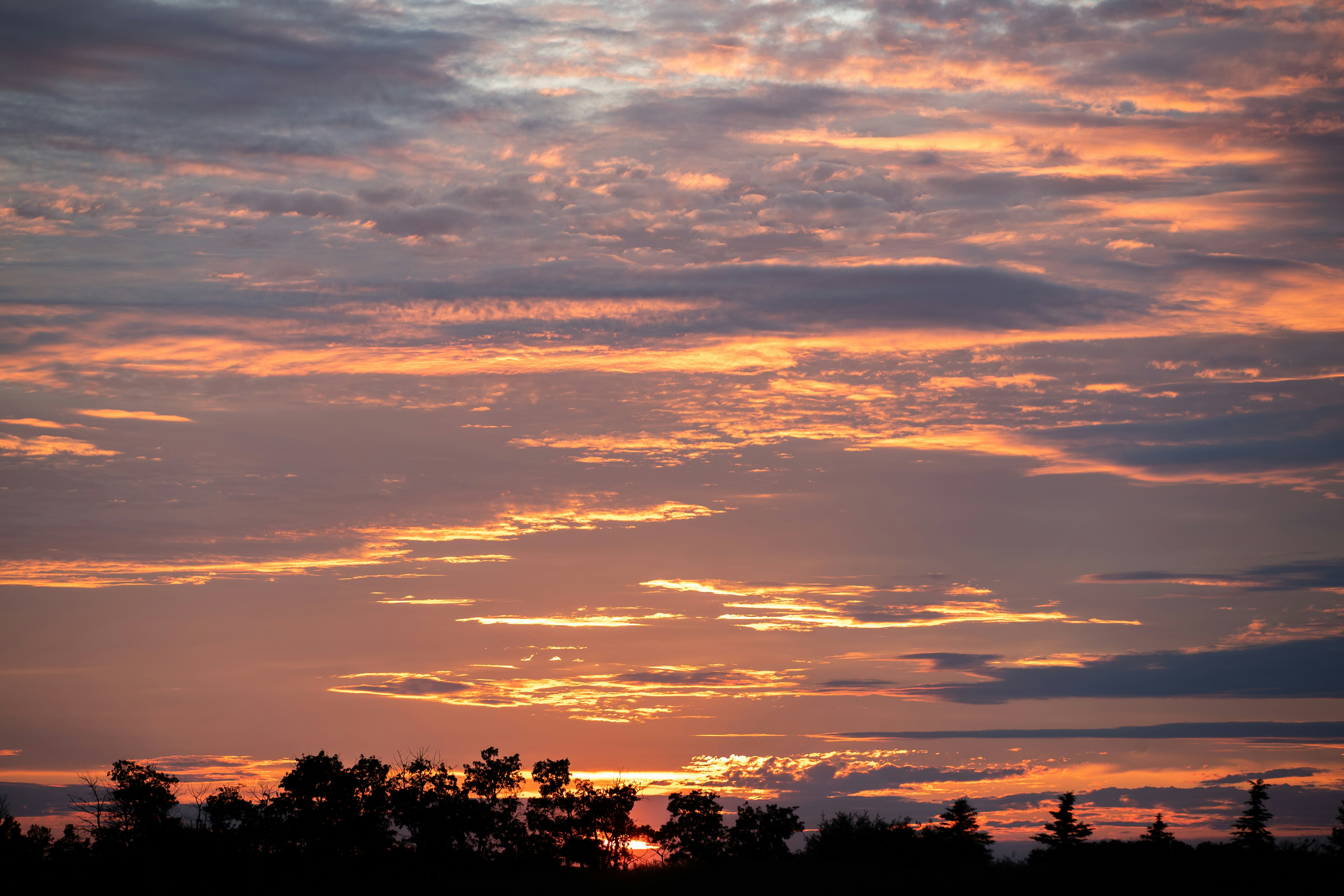 Photo by tandemxvisuals