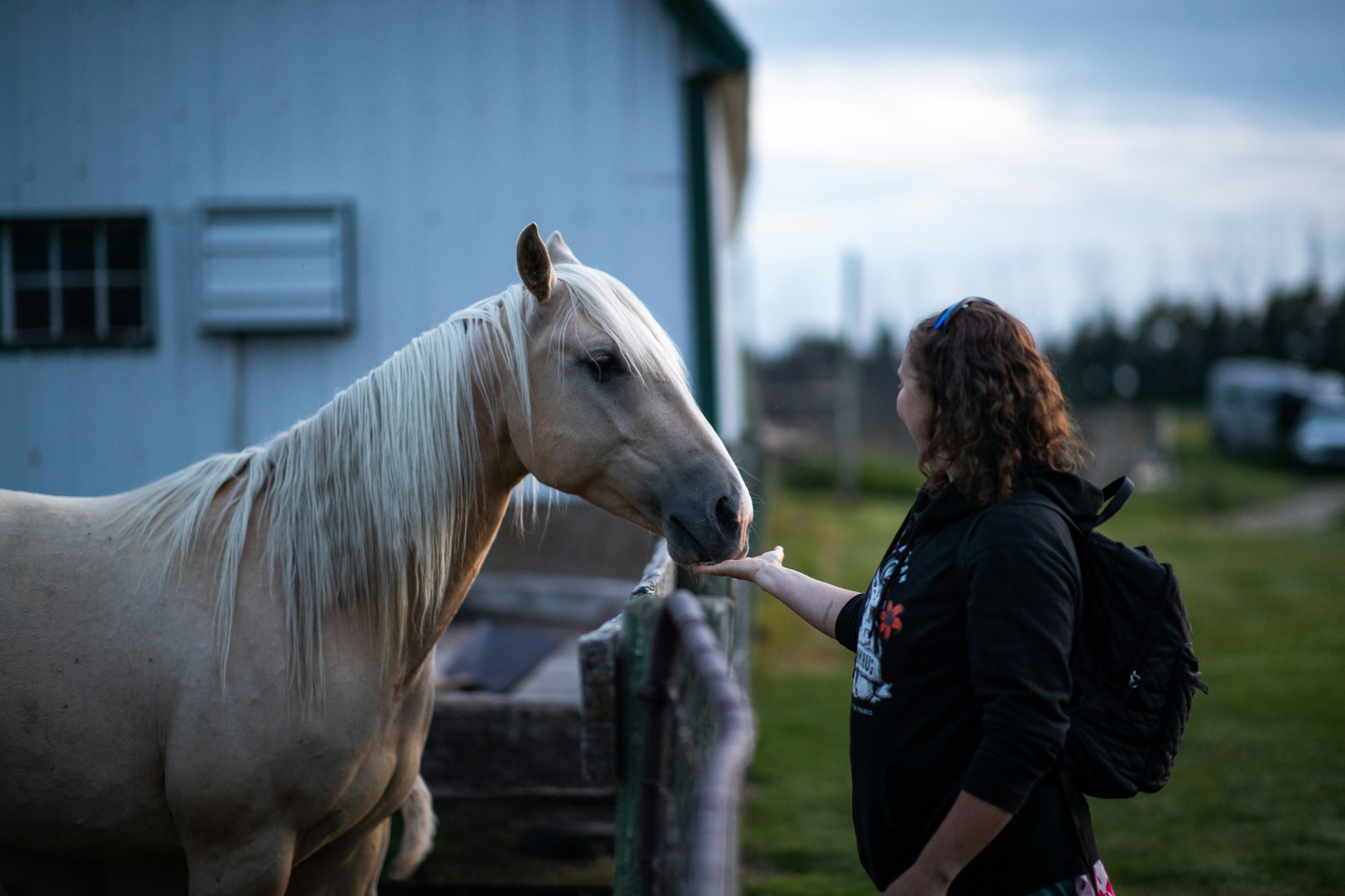 A woman gently pets a cream-colored horse.