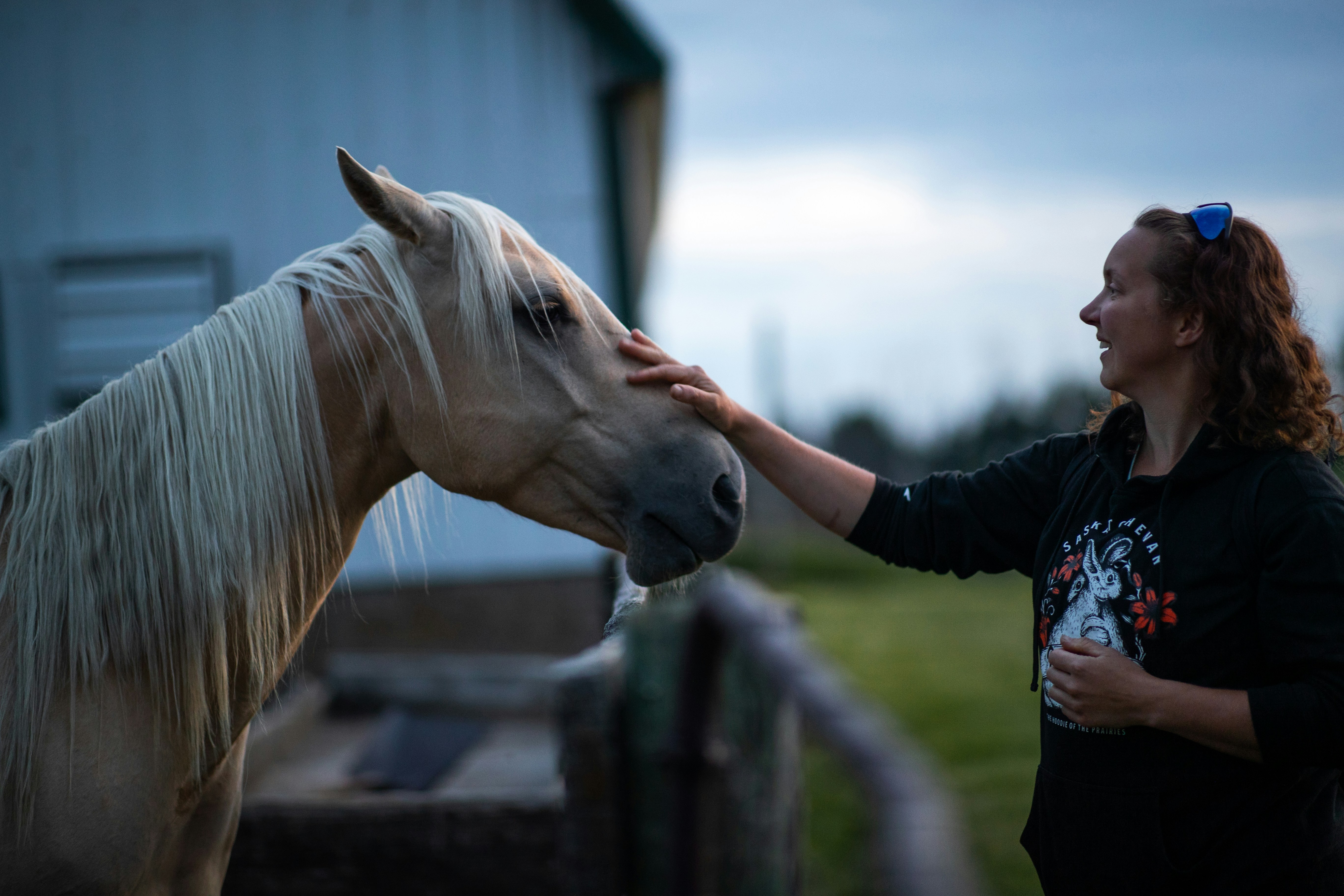 Woman pets a horse gently.