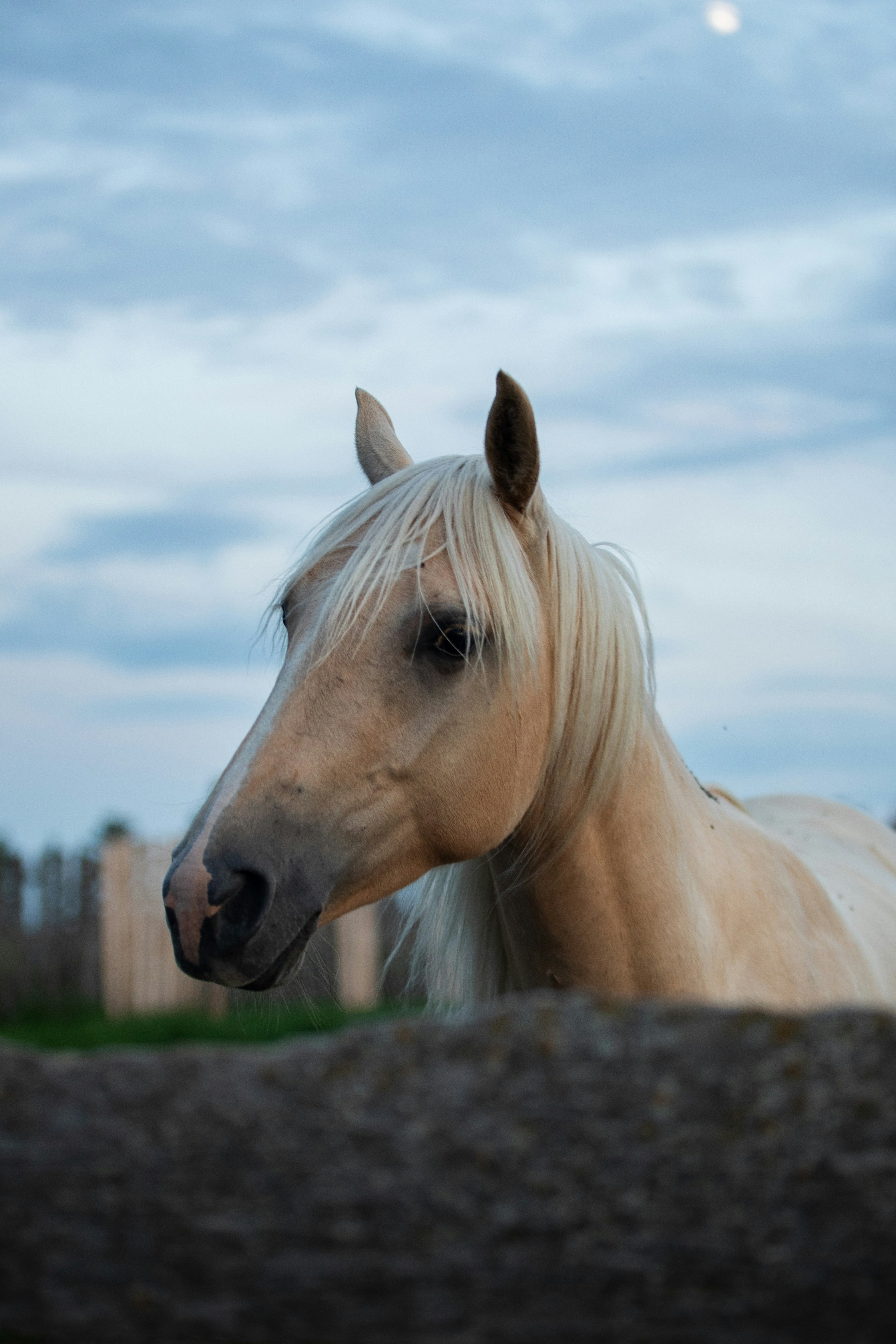 Photo by tandemxvisuals