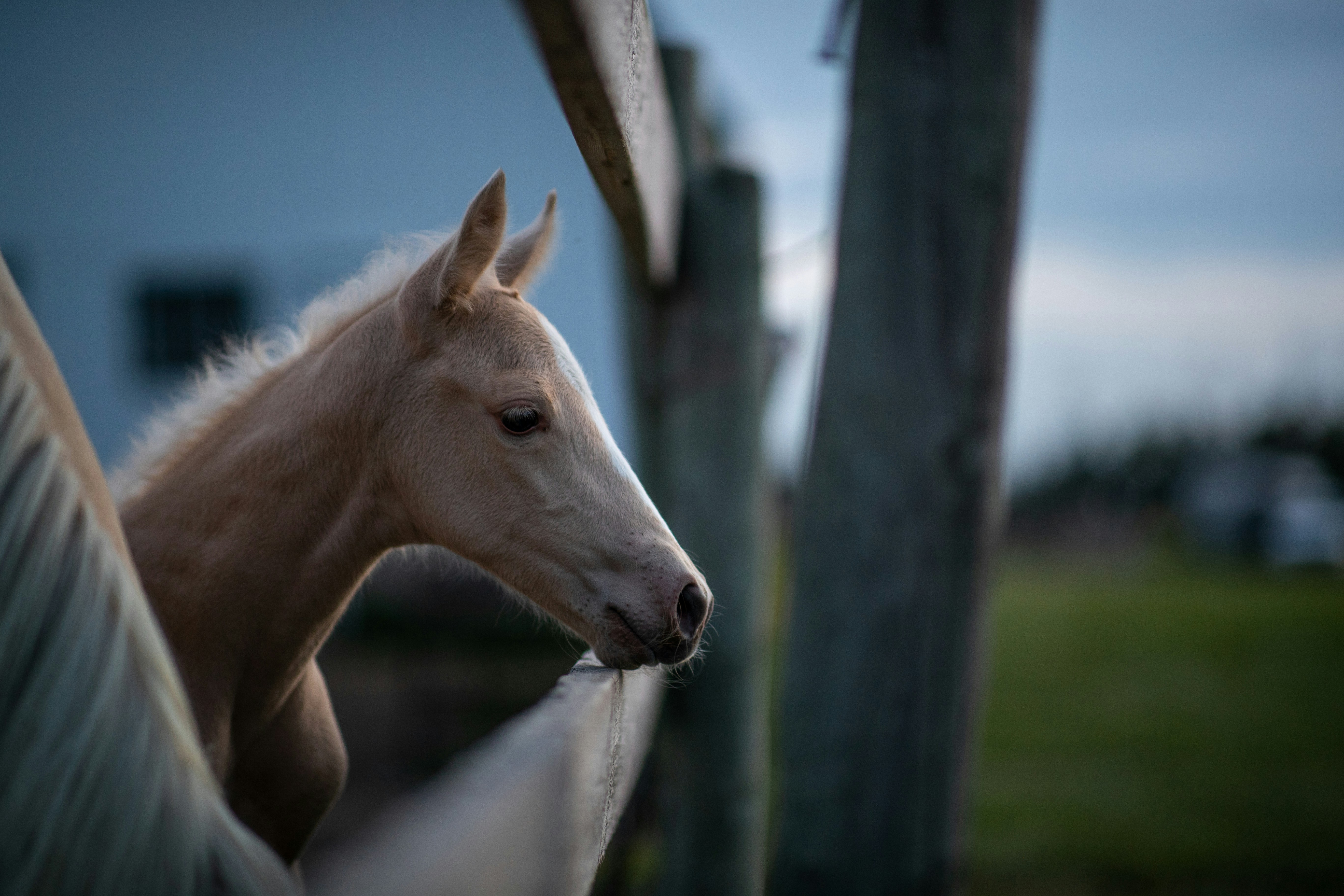 Photo by tandemxvisuals