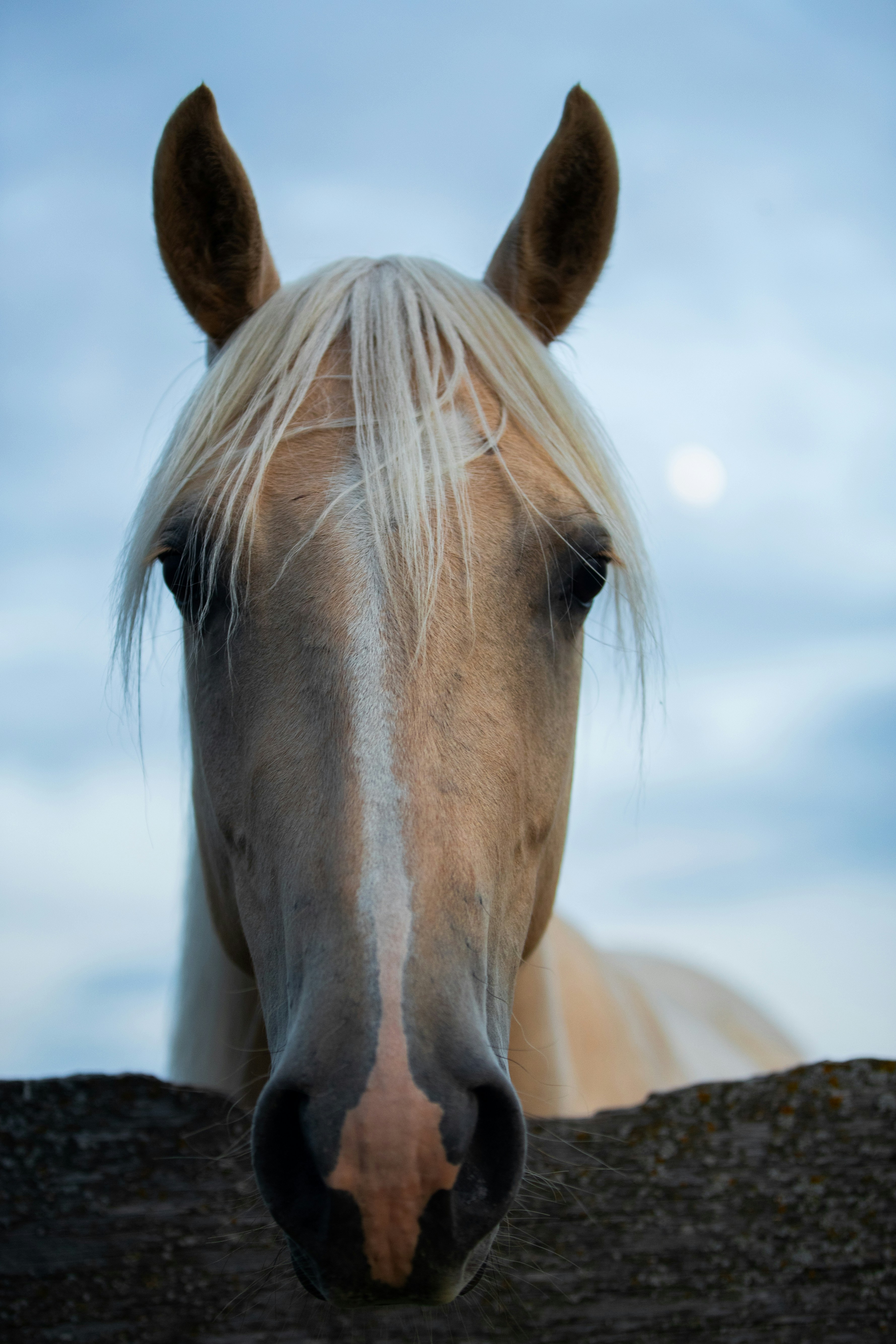 Photo by tandemxvisuals