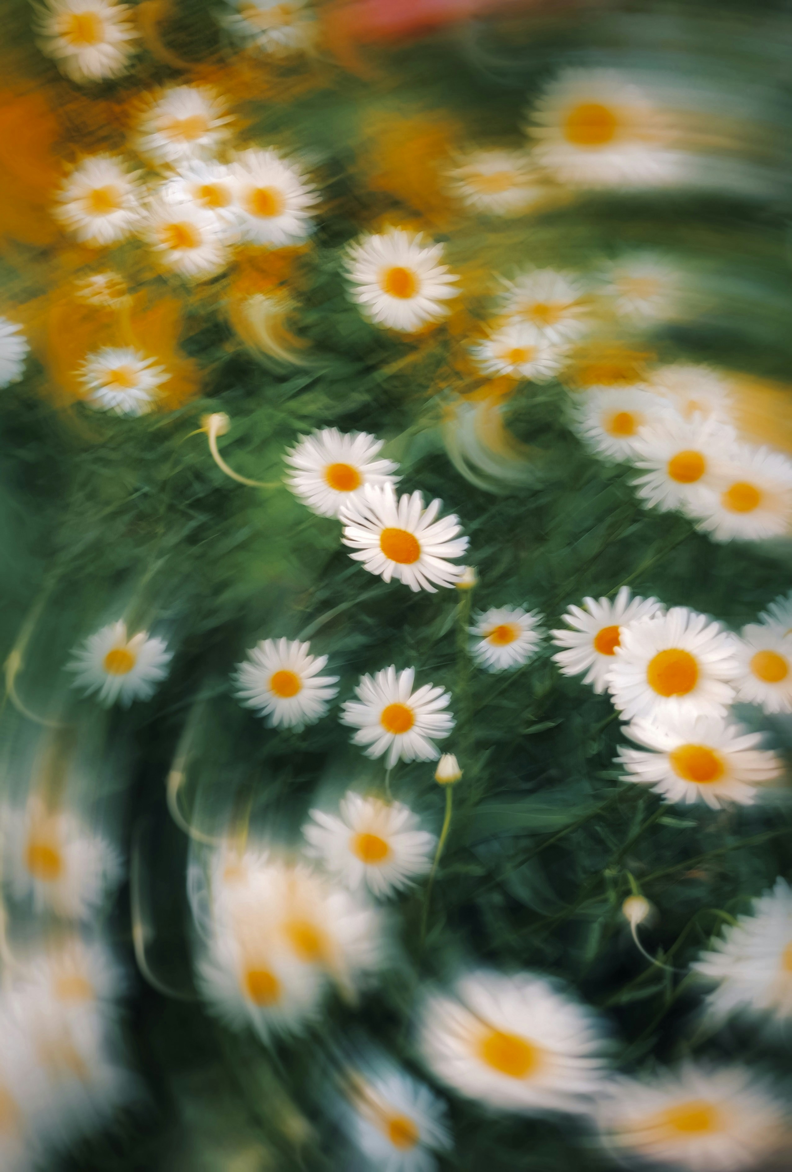 Photo by eugene_golovesov