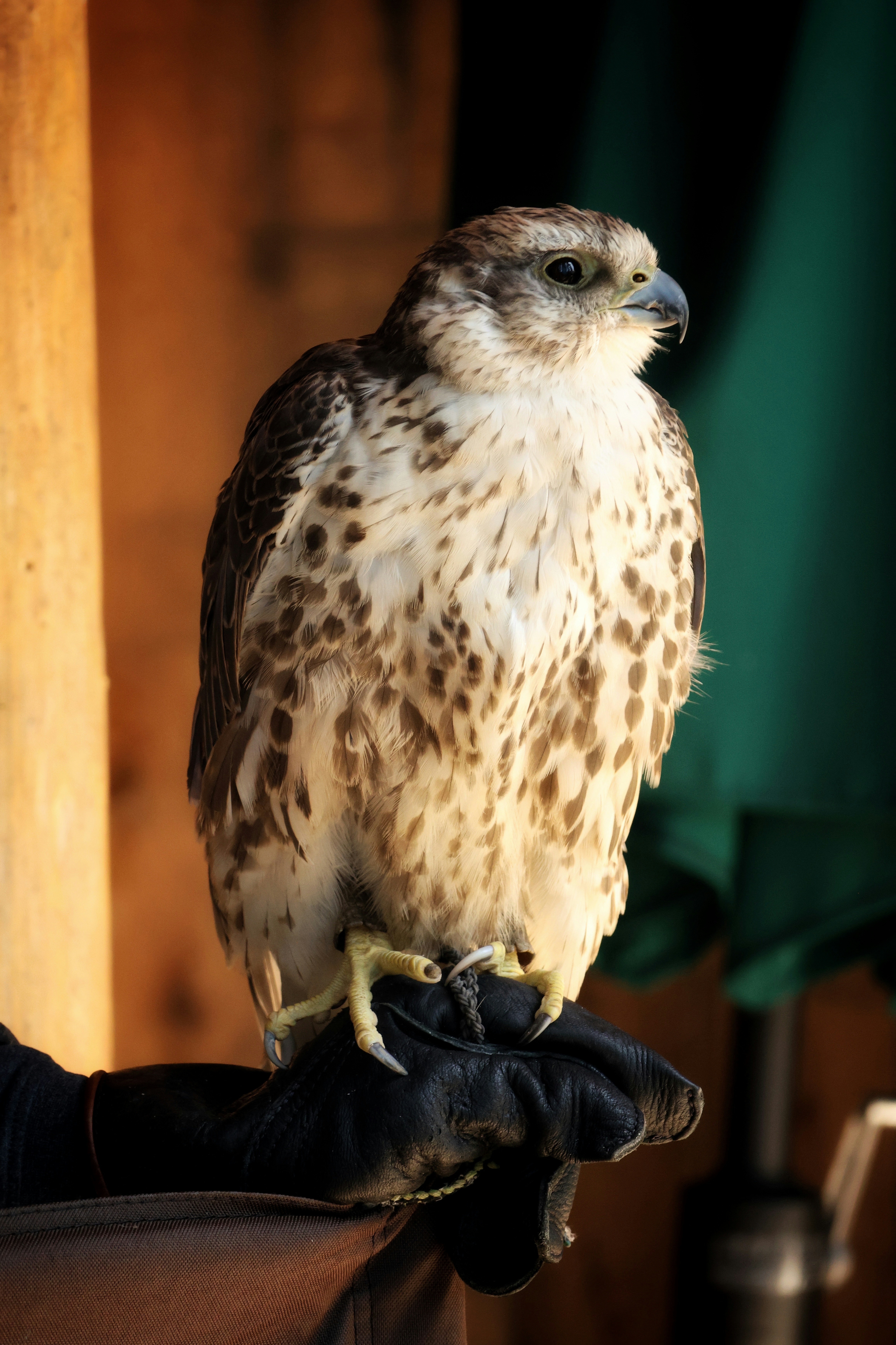 Photo by princeprajapati