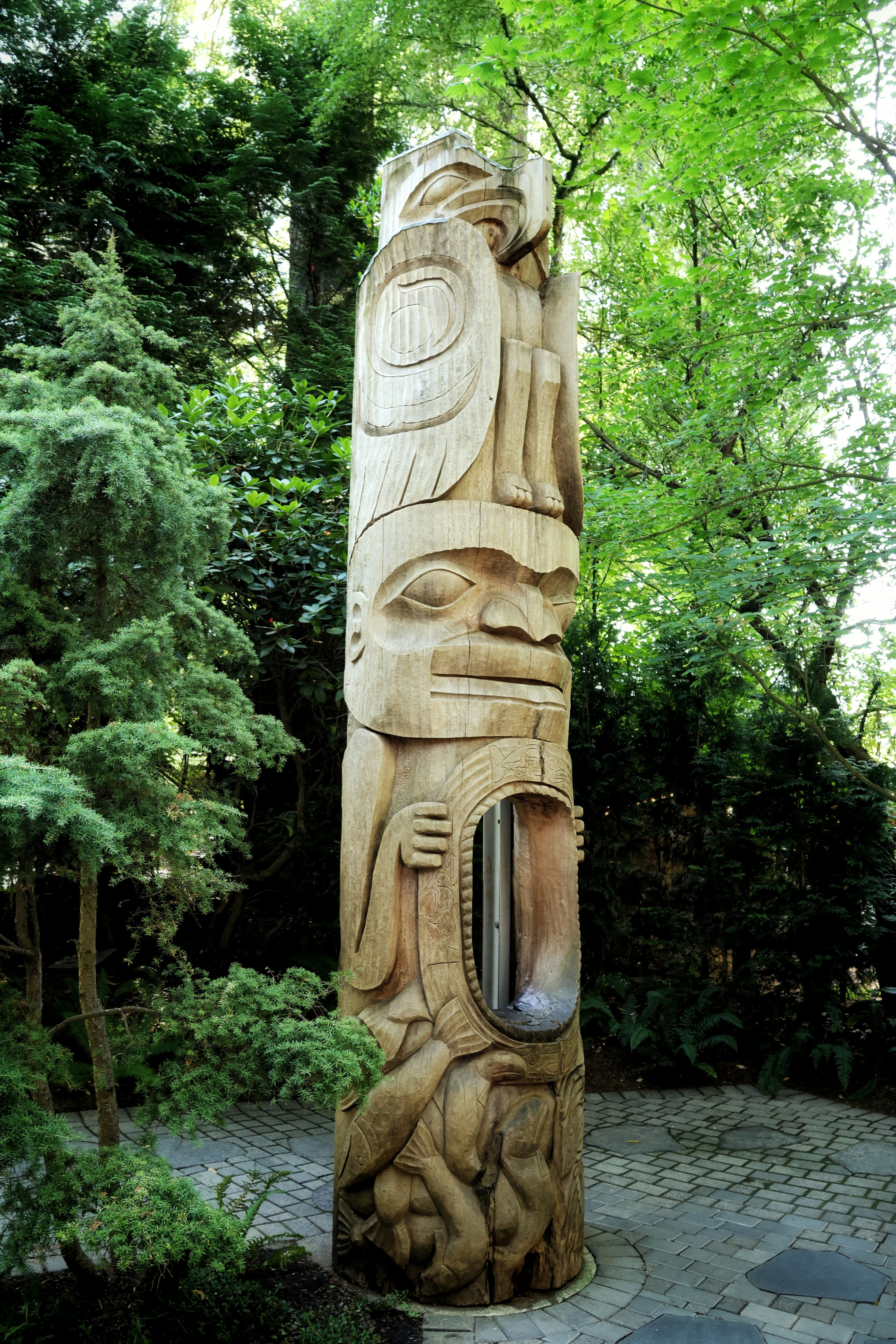 Photo by princeprajapati