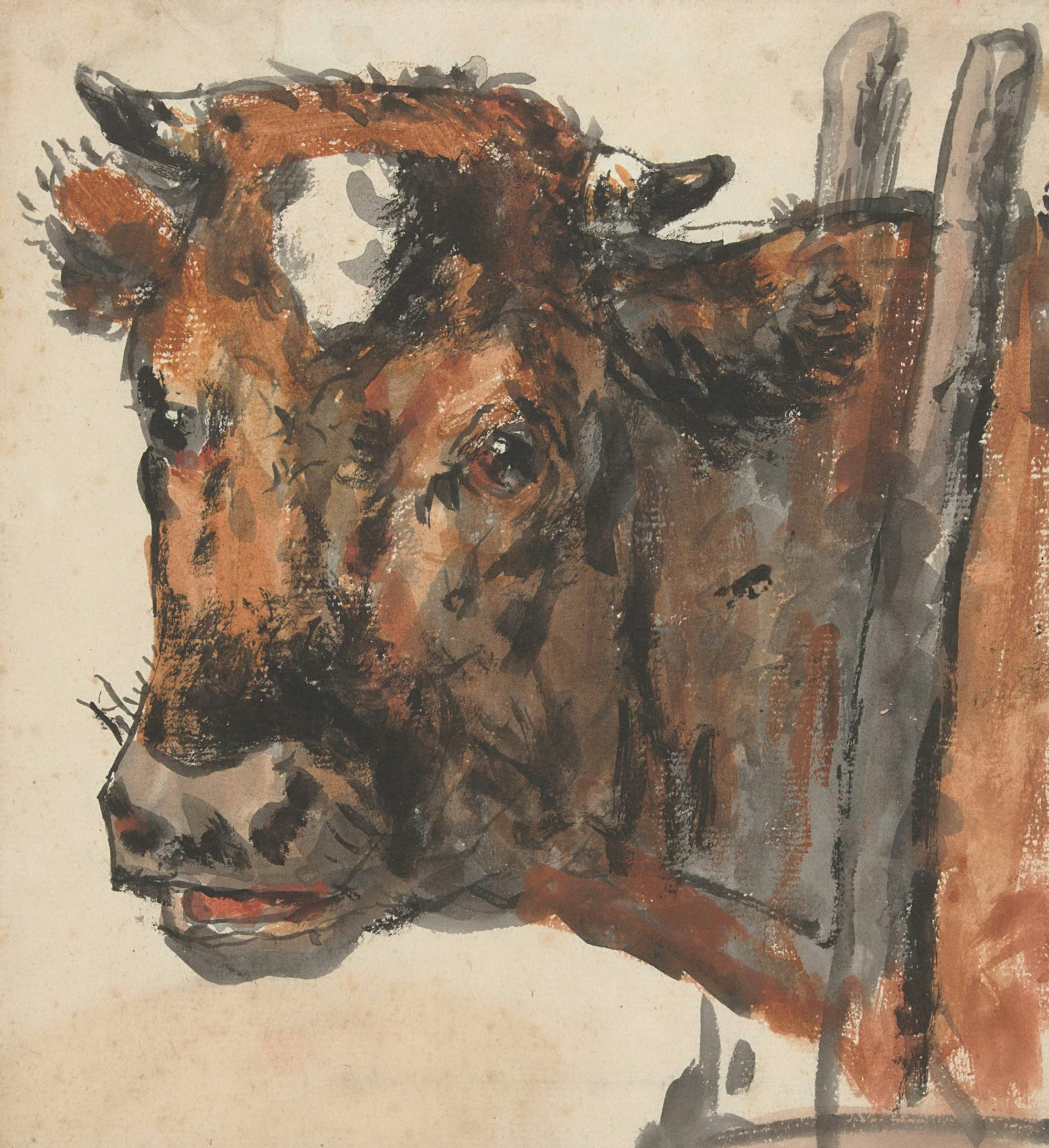 A watercolor painting of a cow's head in profile