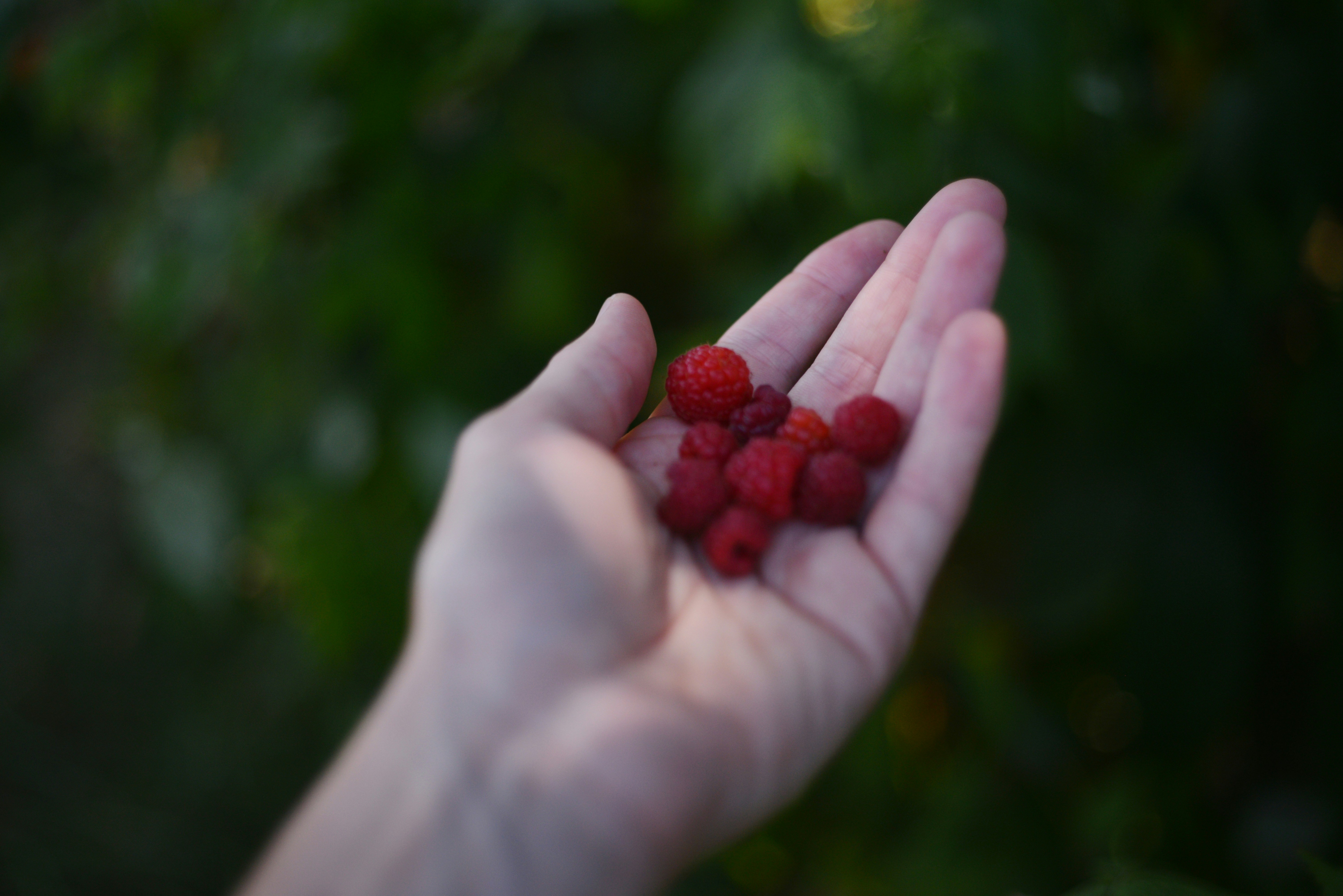 Photo by cherstve_pechivo