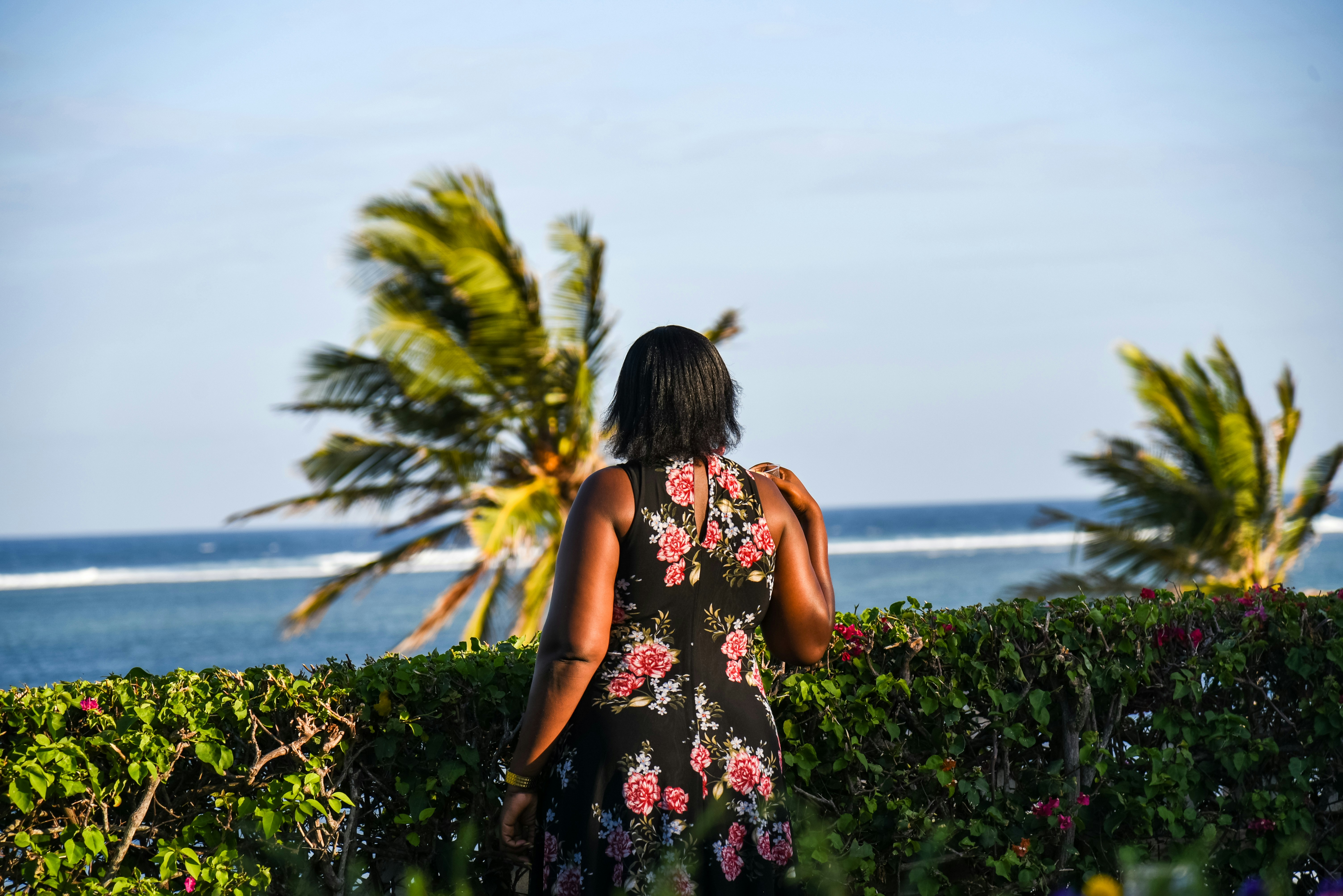 Photo by ojijohammilton