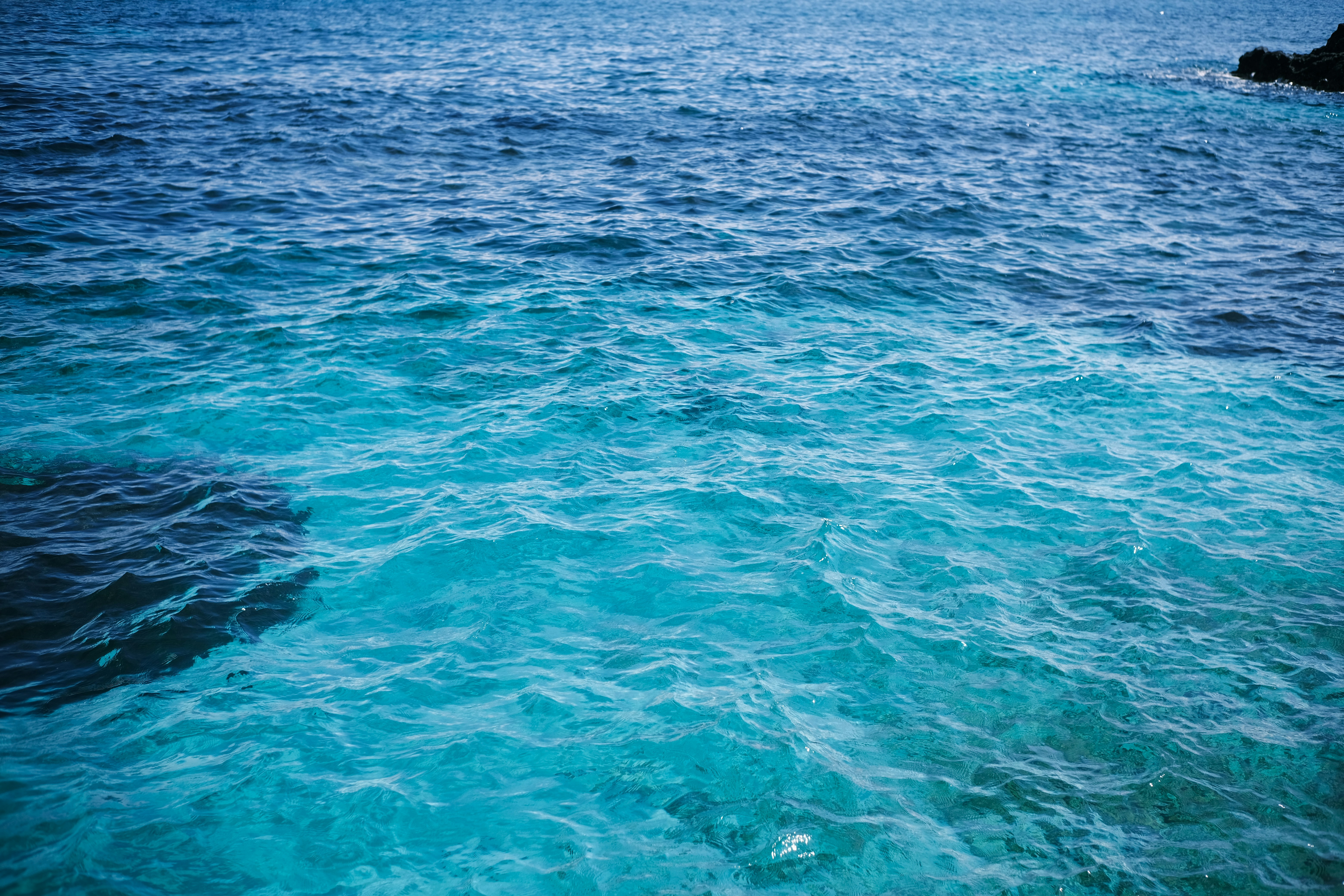 Photo by dvhoang2106