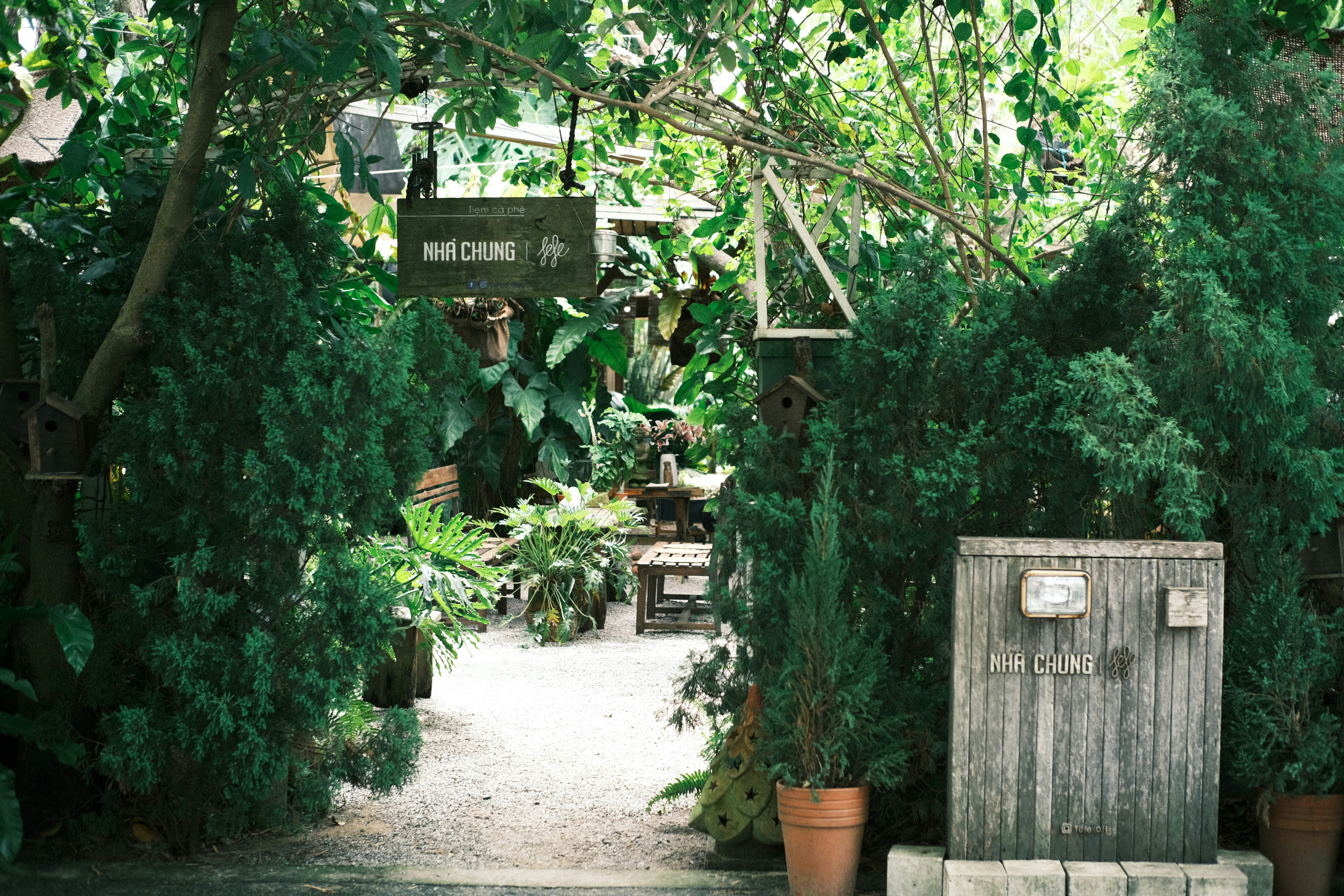 Photo by dvhoang2106