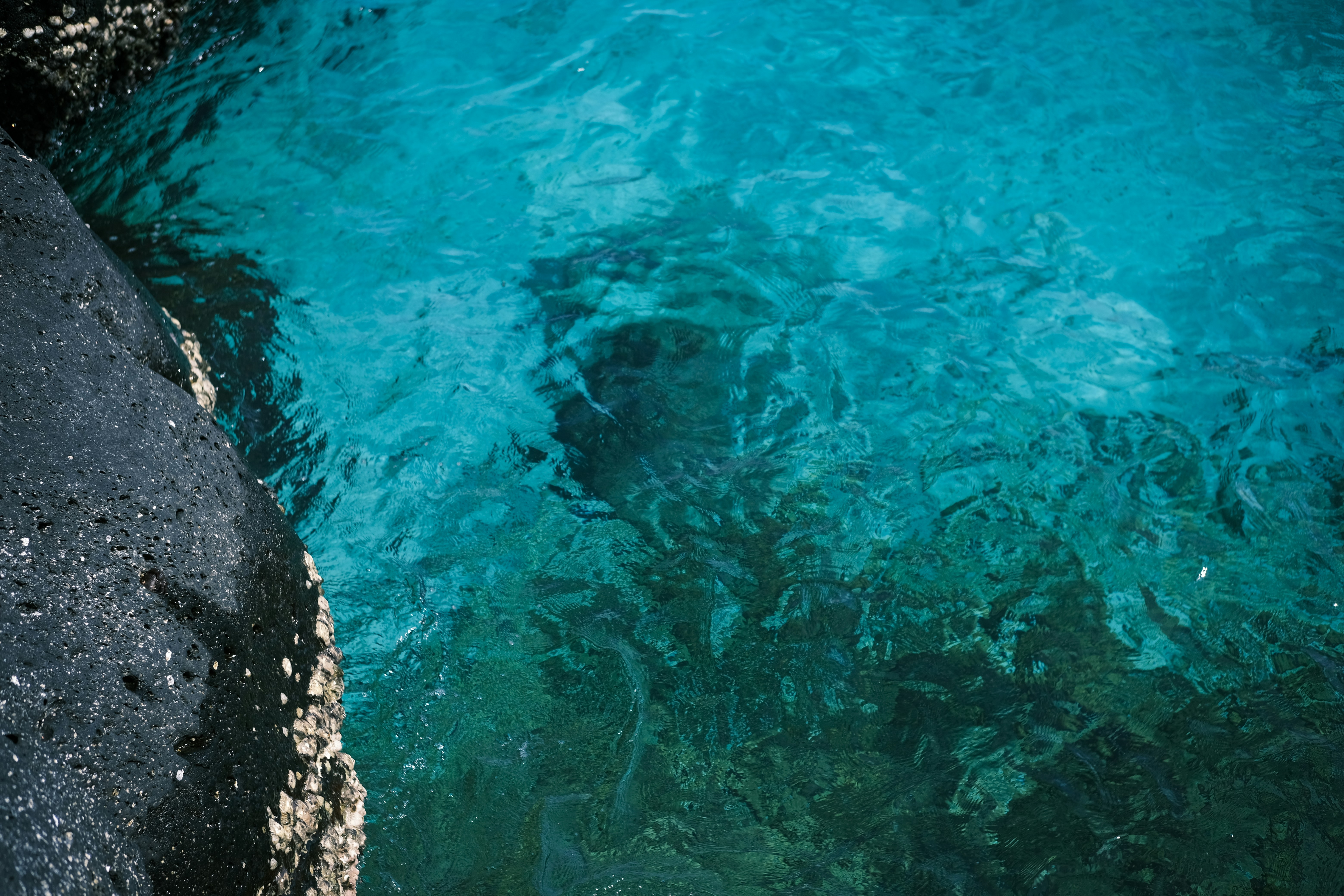 Photo by dvhoang2106