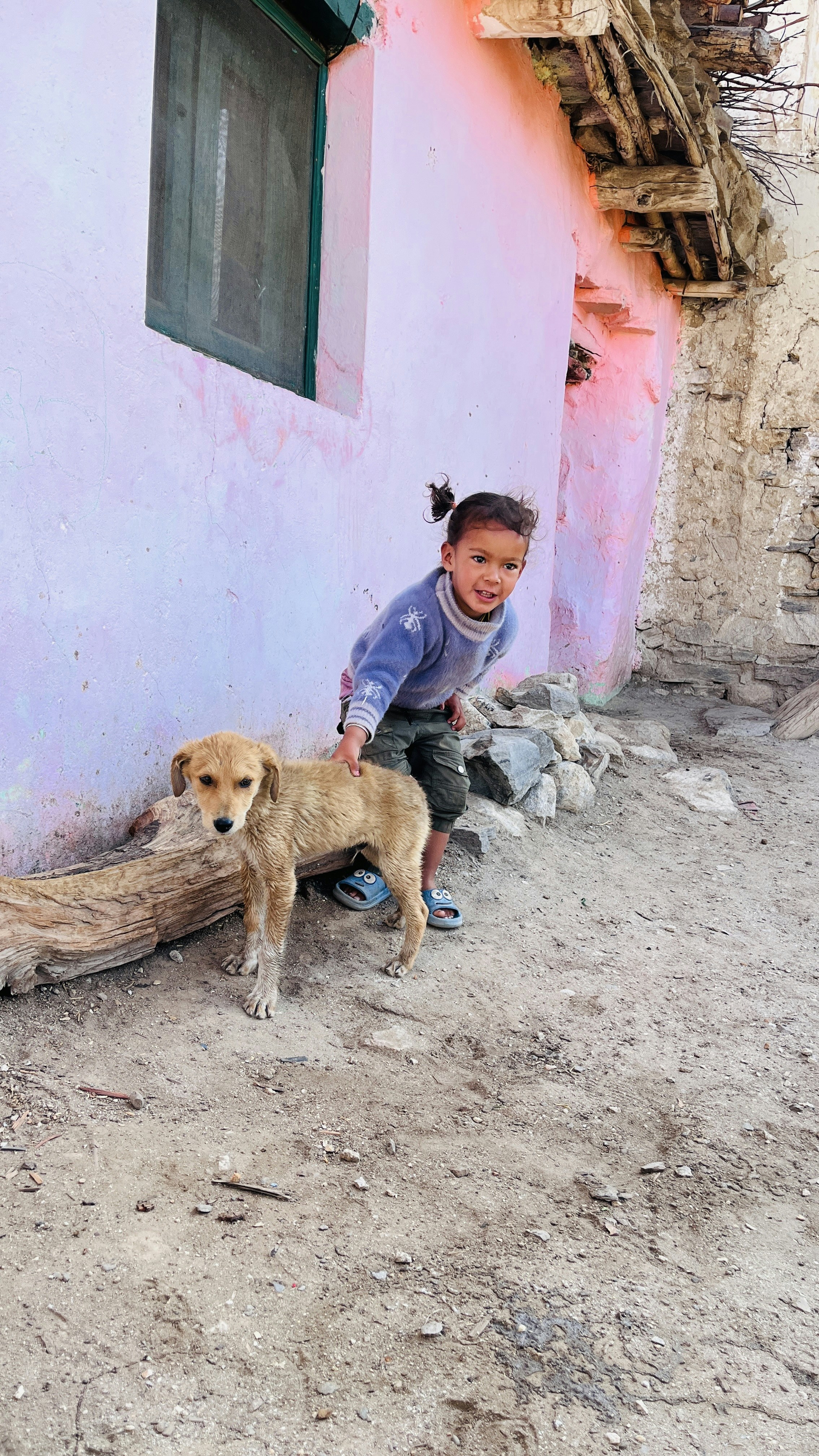 A child petting a dog.