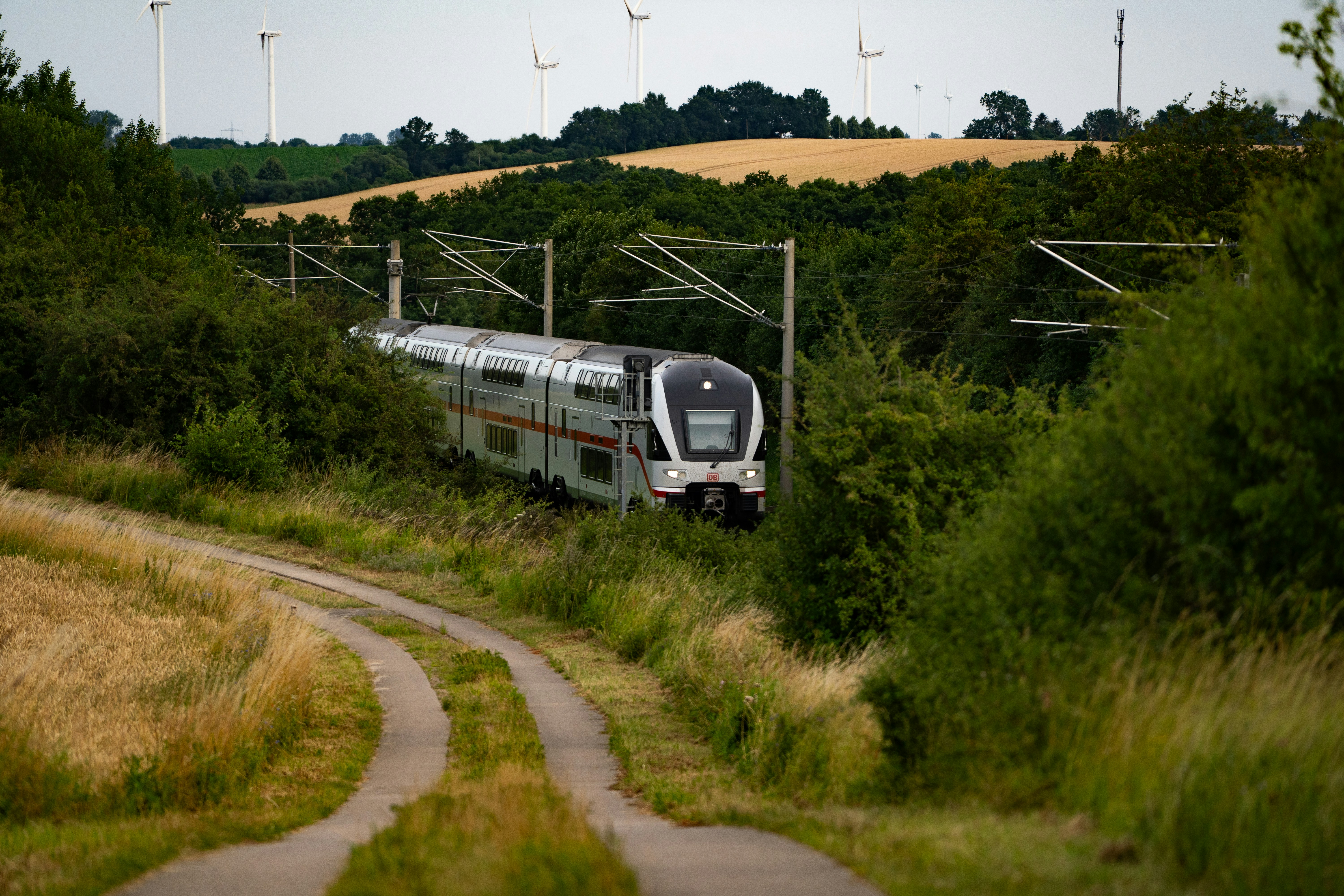 A train travels through the green landscape