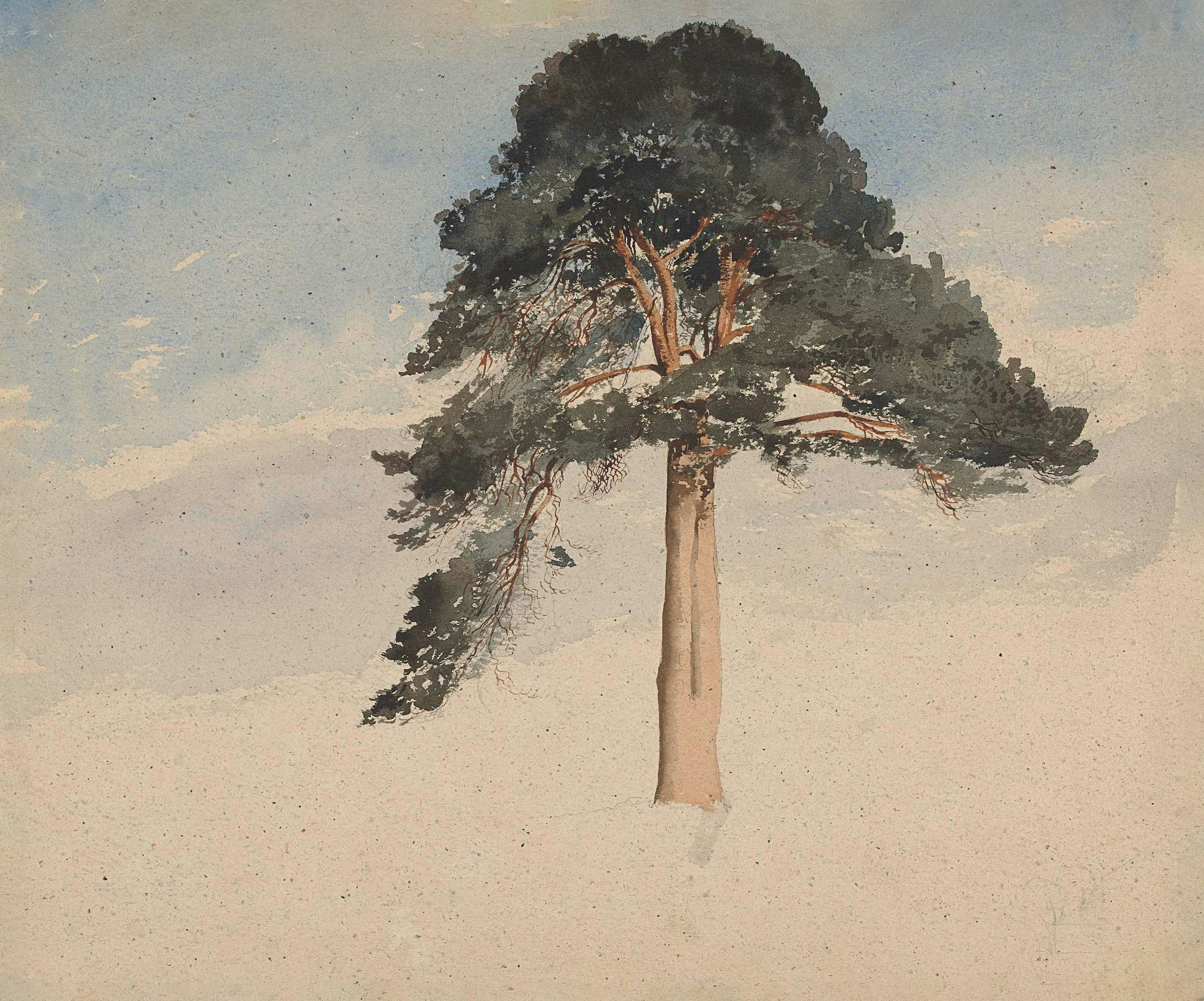 Photo by europeana