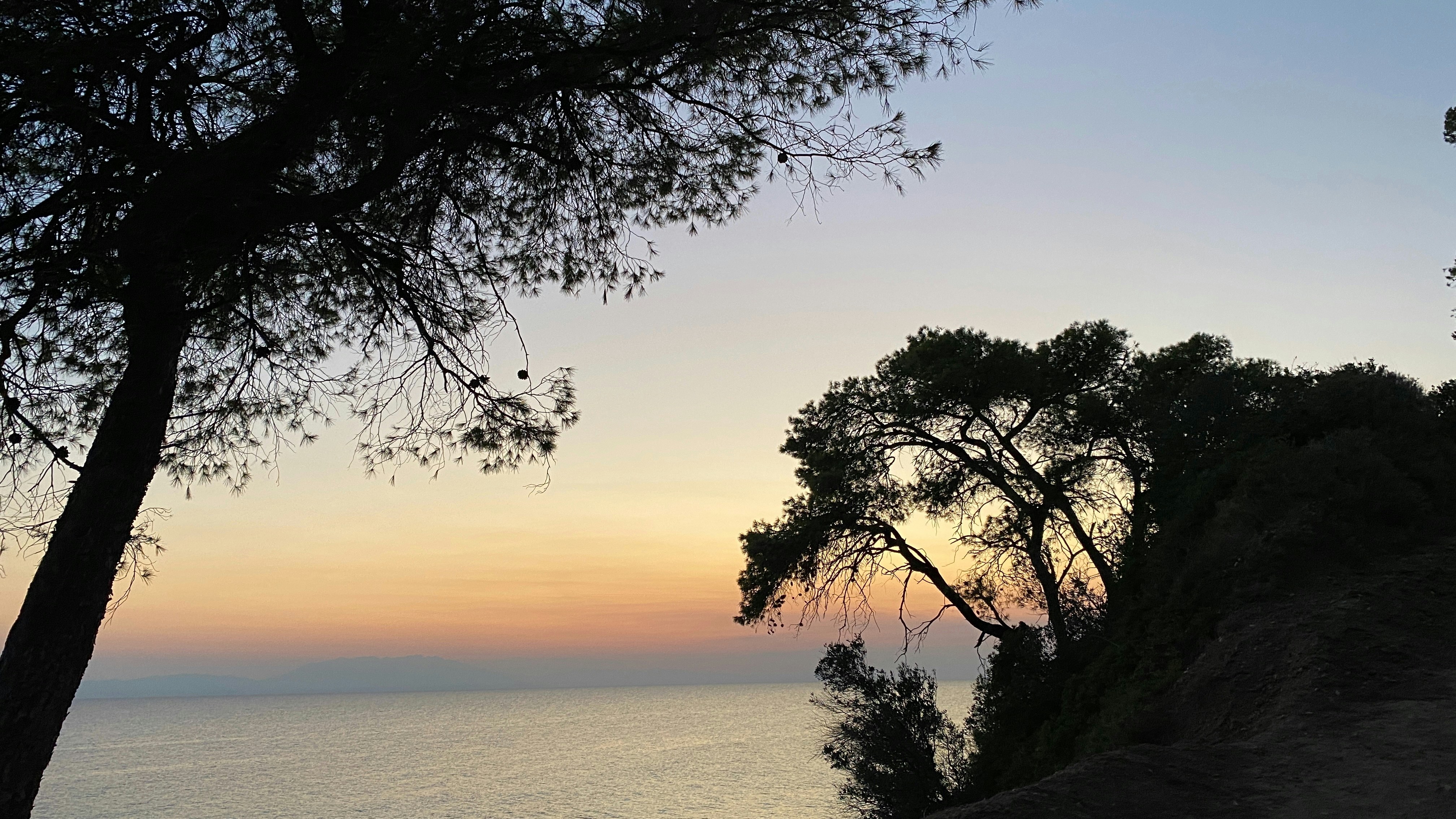 Photo by nutualexandru