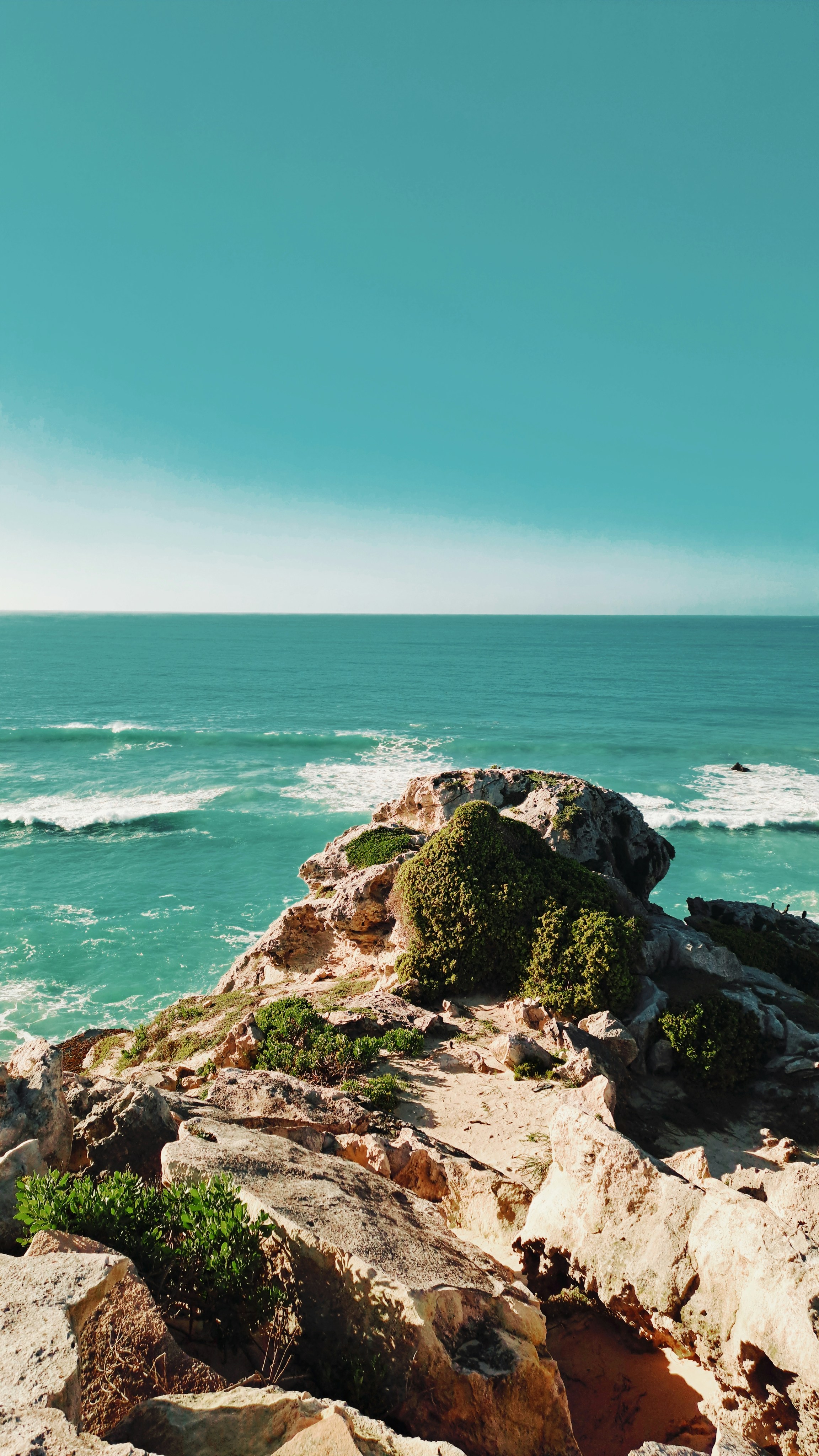 Photo by colouredmuseum