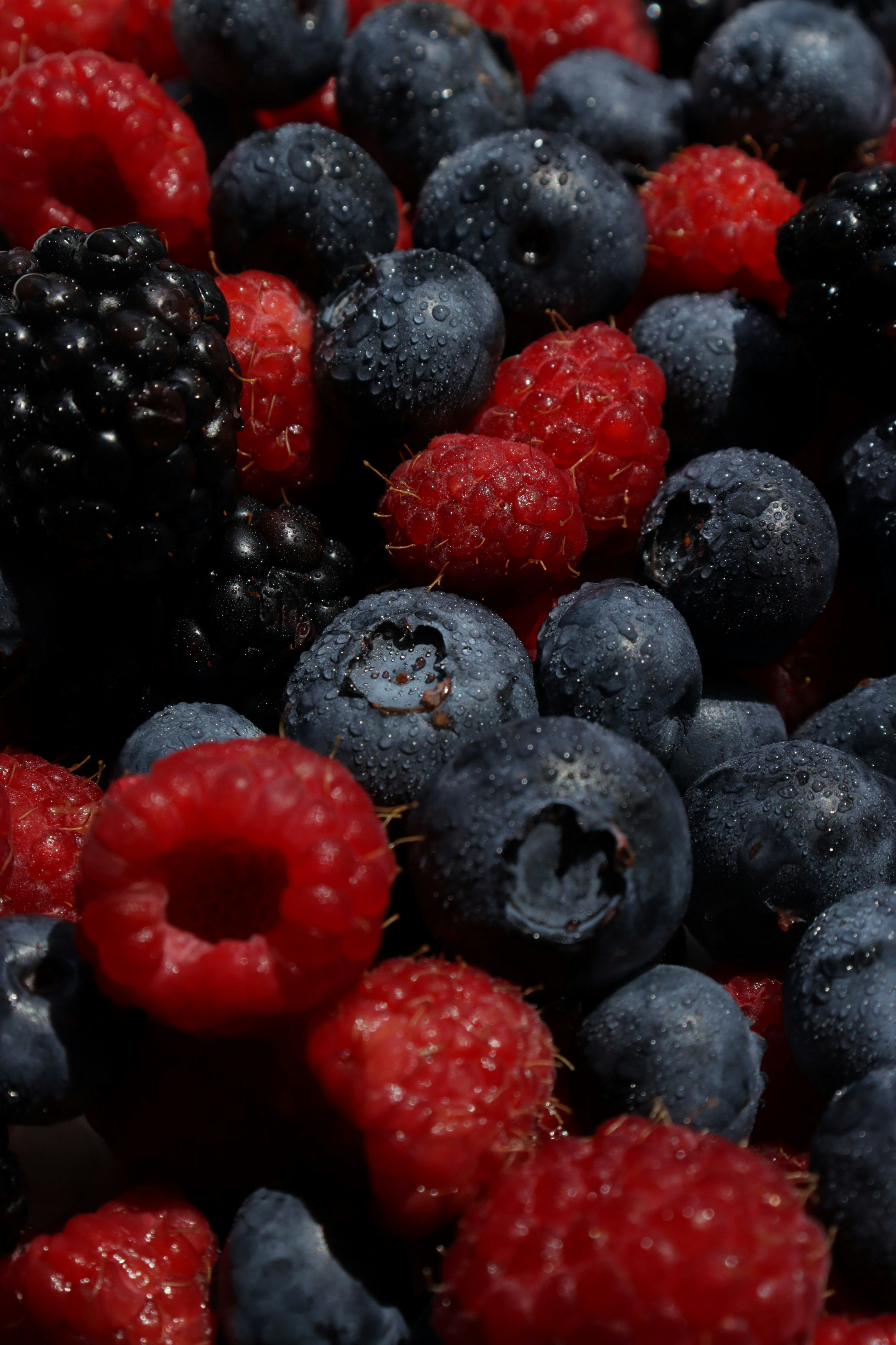 Photo by bored_mongoose