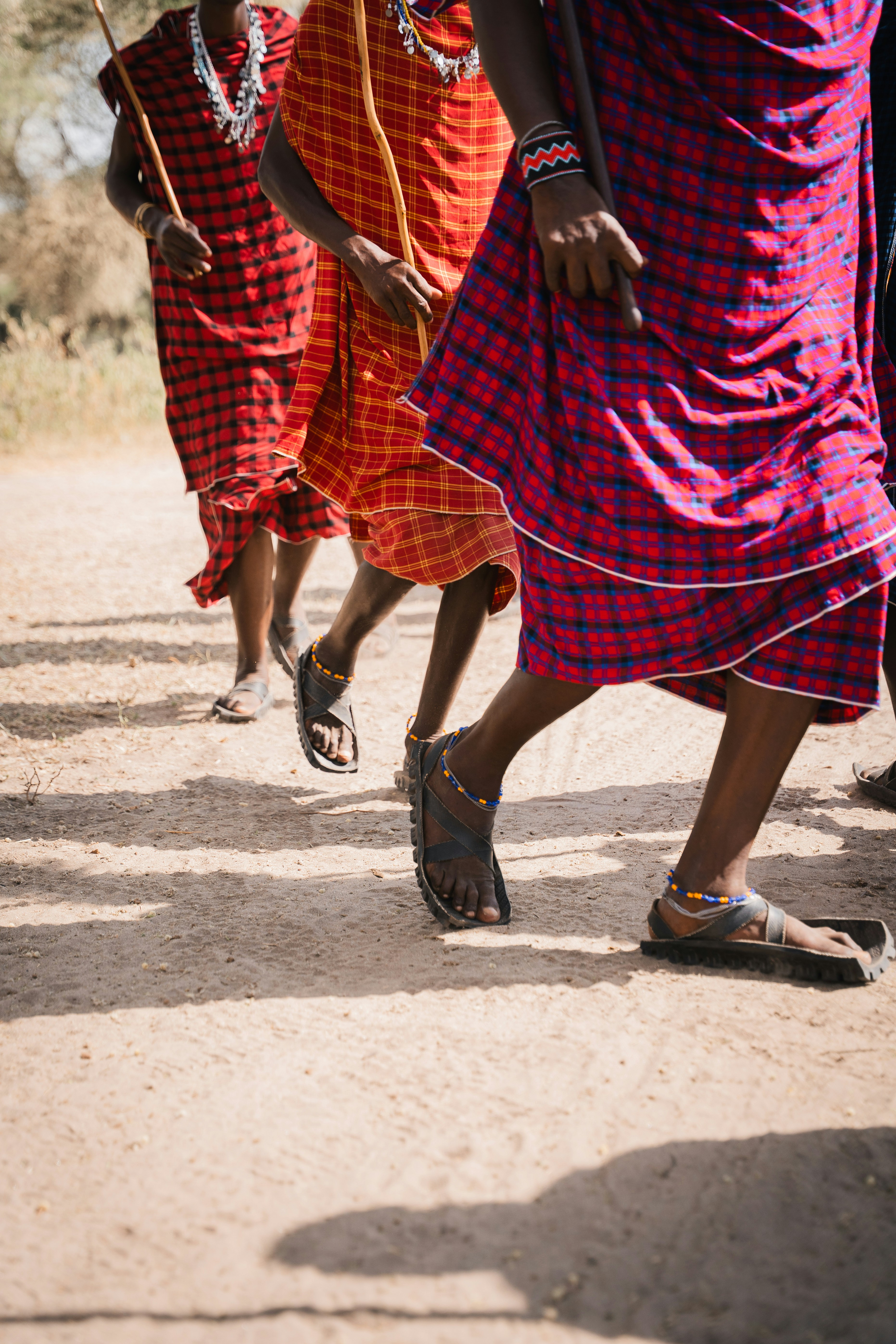 Photo by auchynnikau