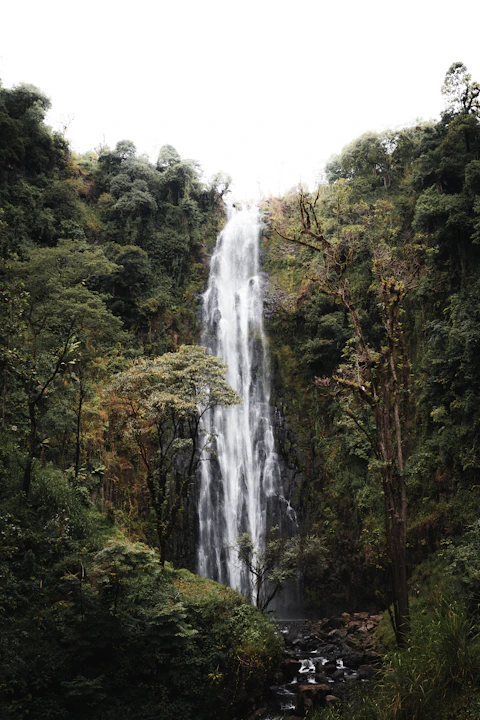 A majestic waterfall cascades through lush greenery.