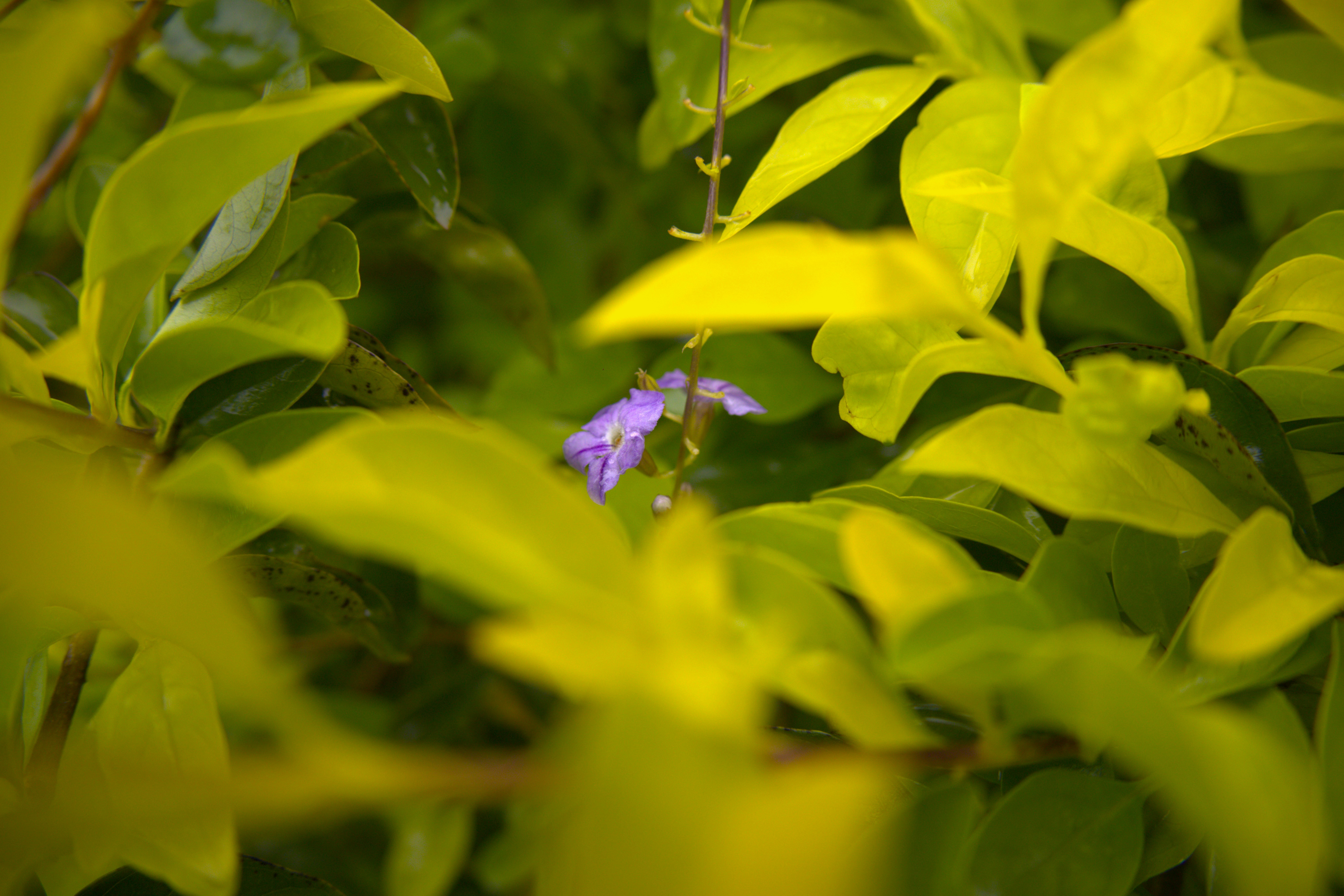 Photo by legacy_lenscraft