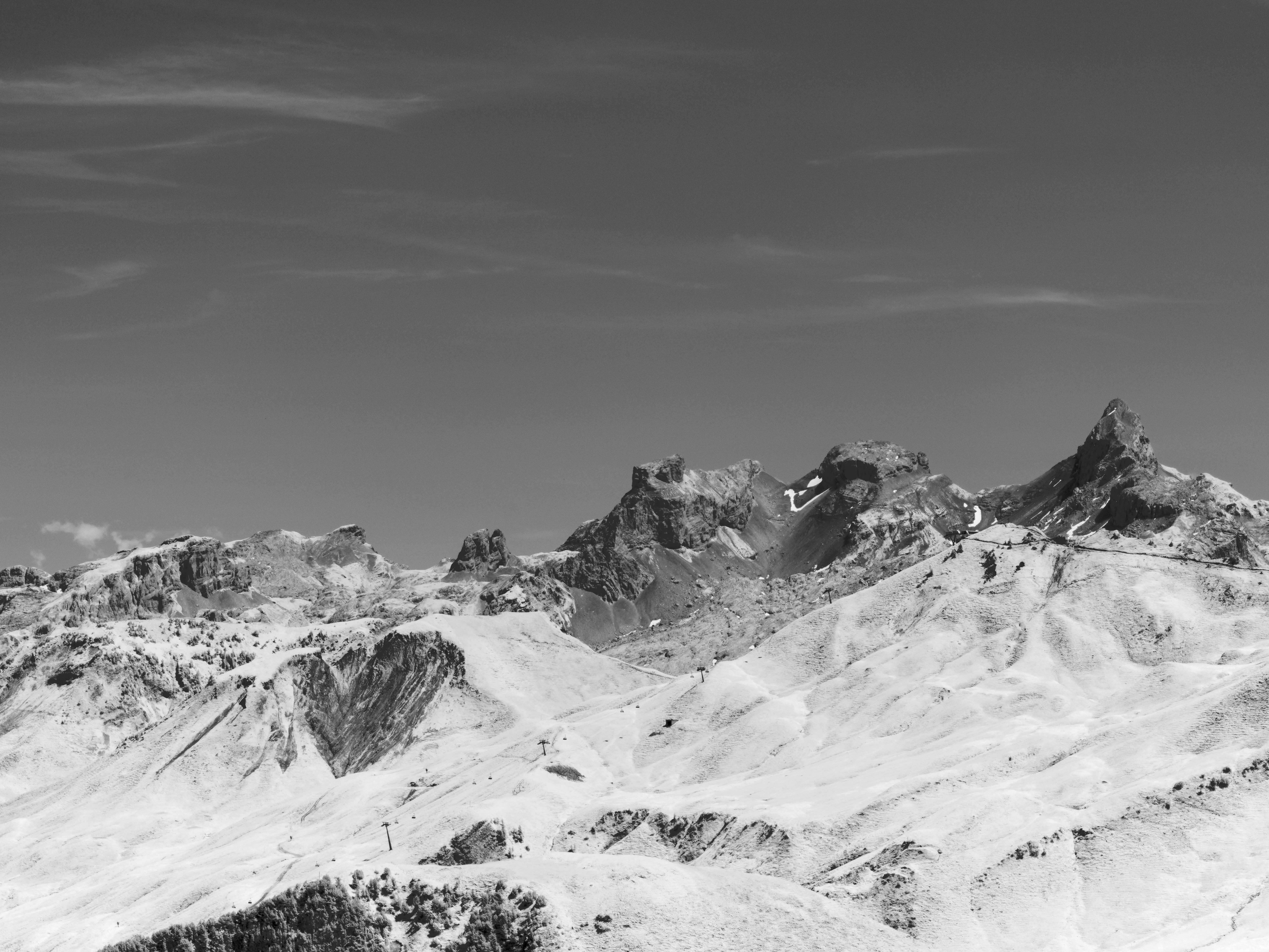 Photo by wolfgang_hasselmann