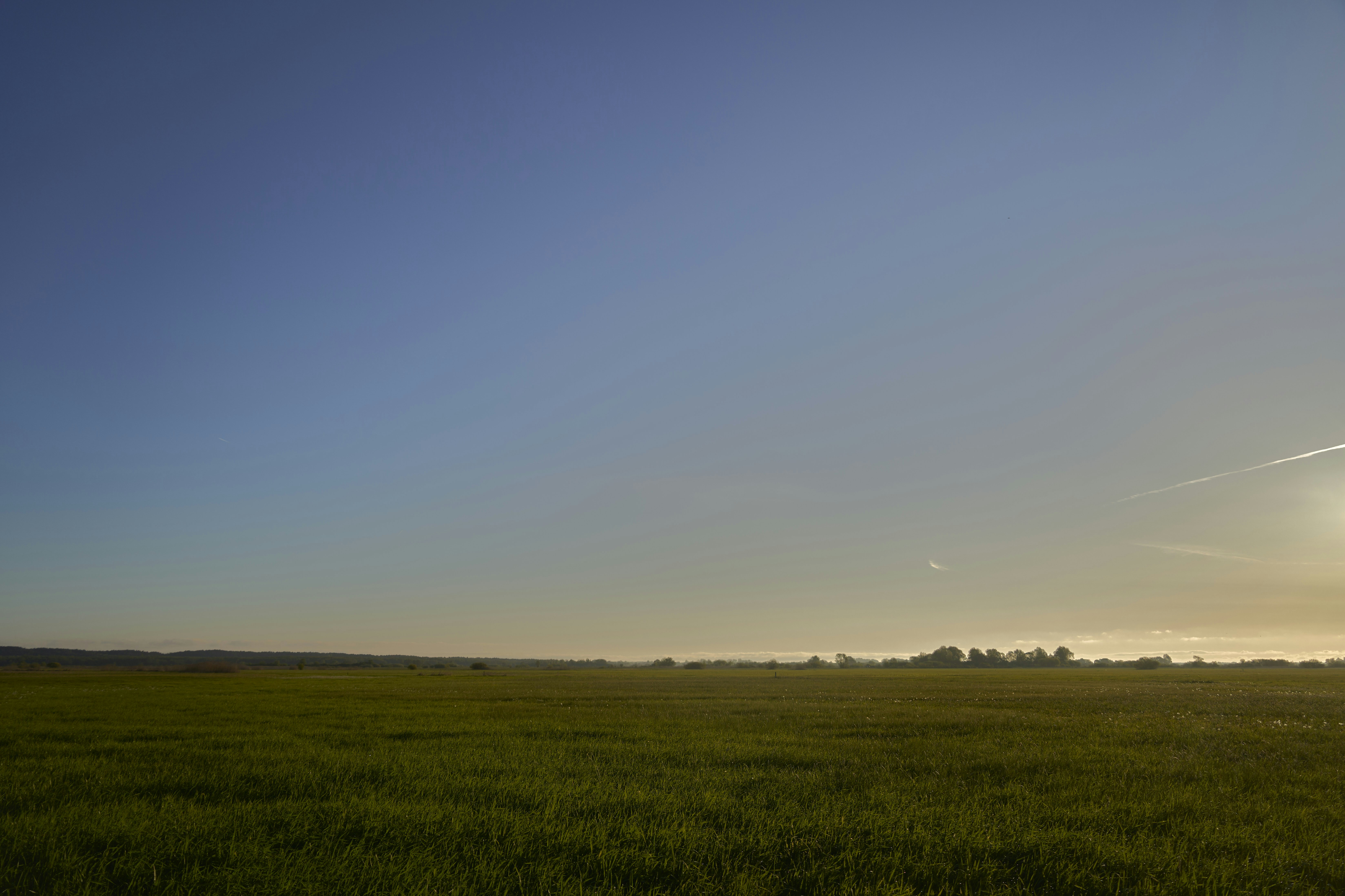 Photo by wolfgang_hasselmann