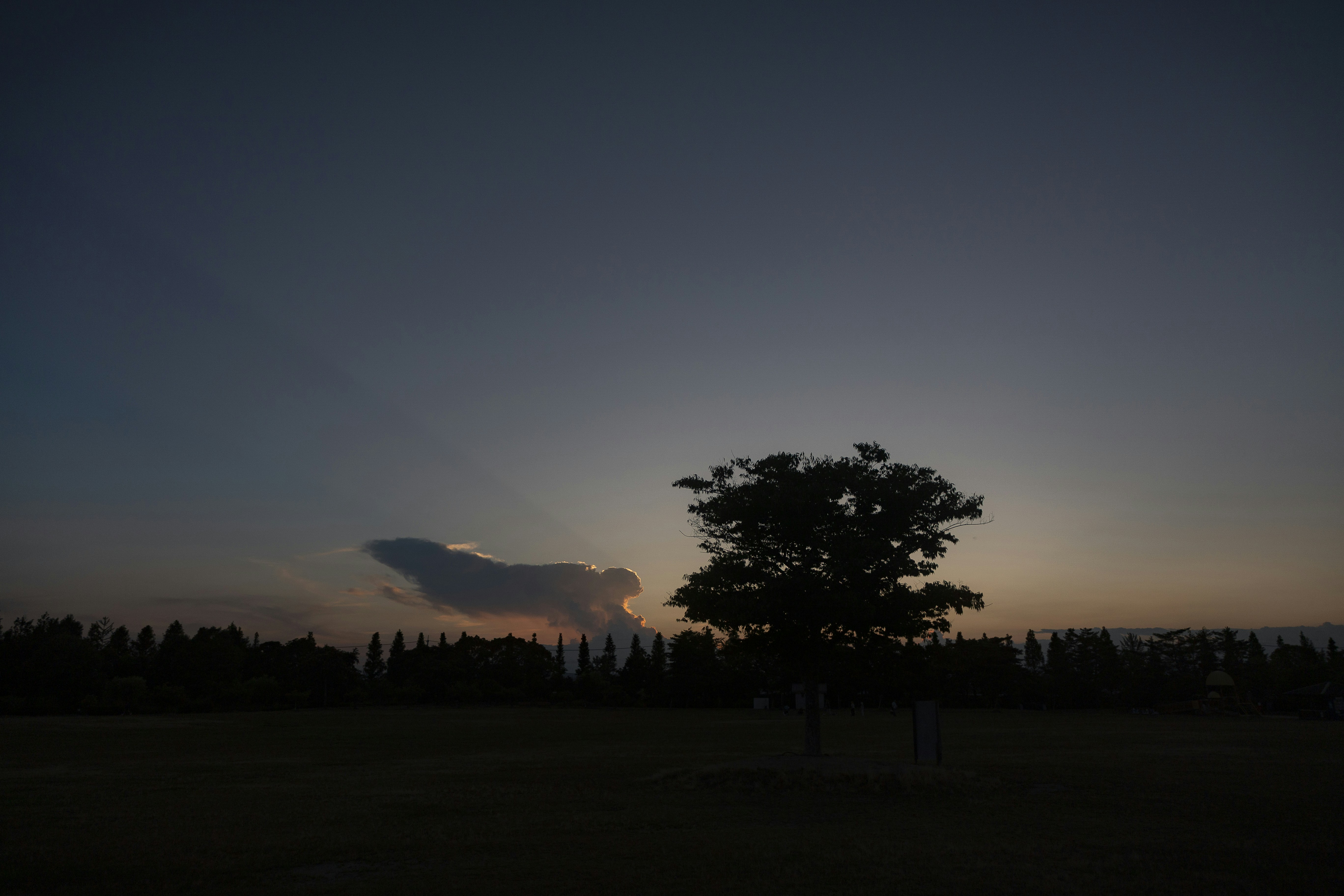 Photo by gakusuyama