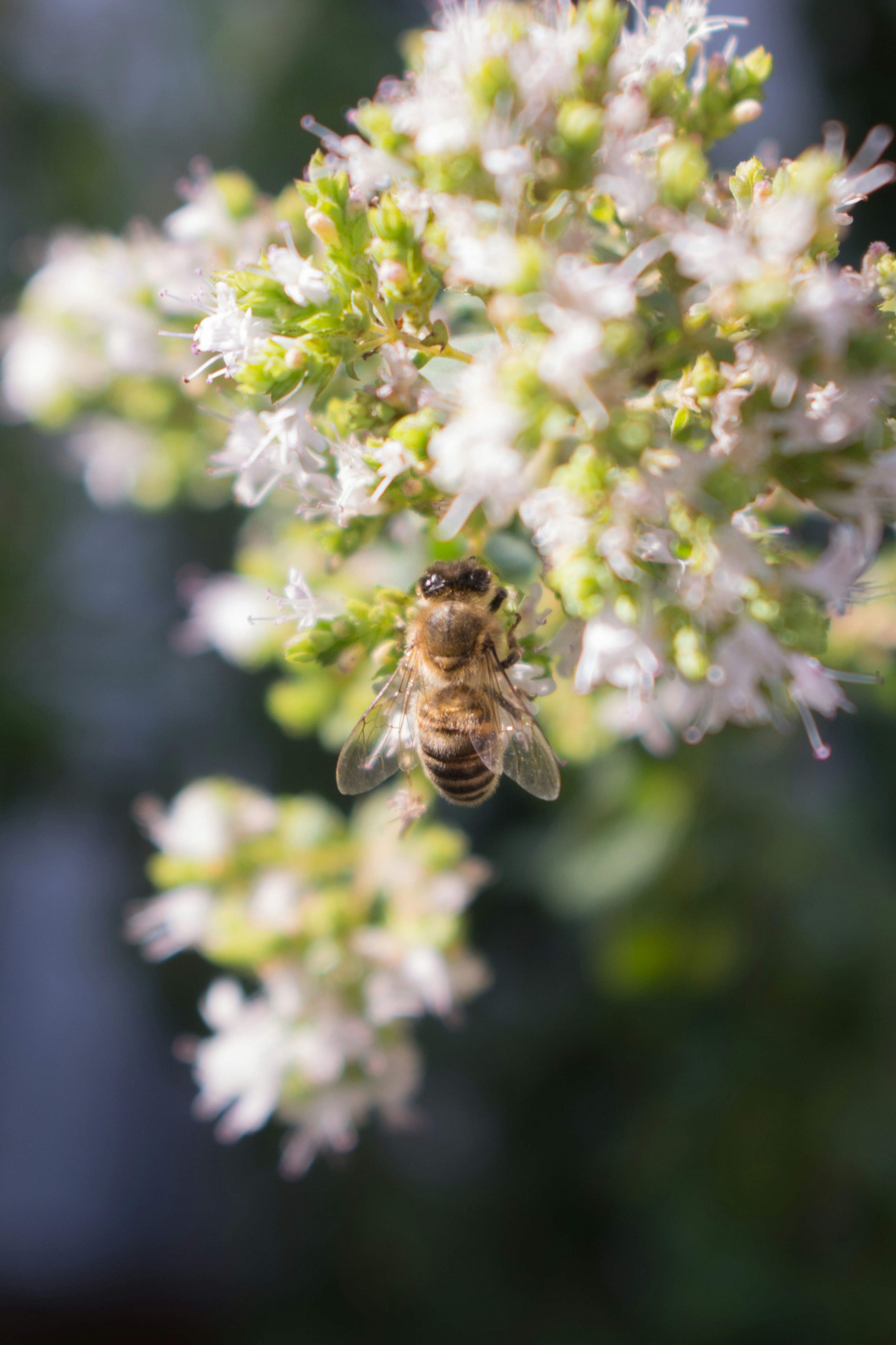 Photo by chasemccave