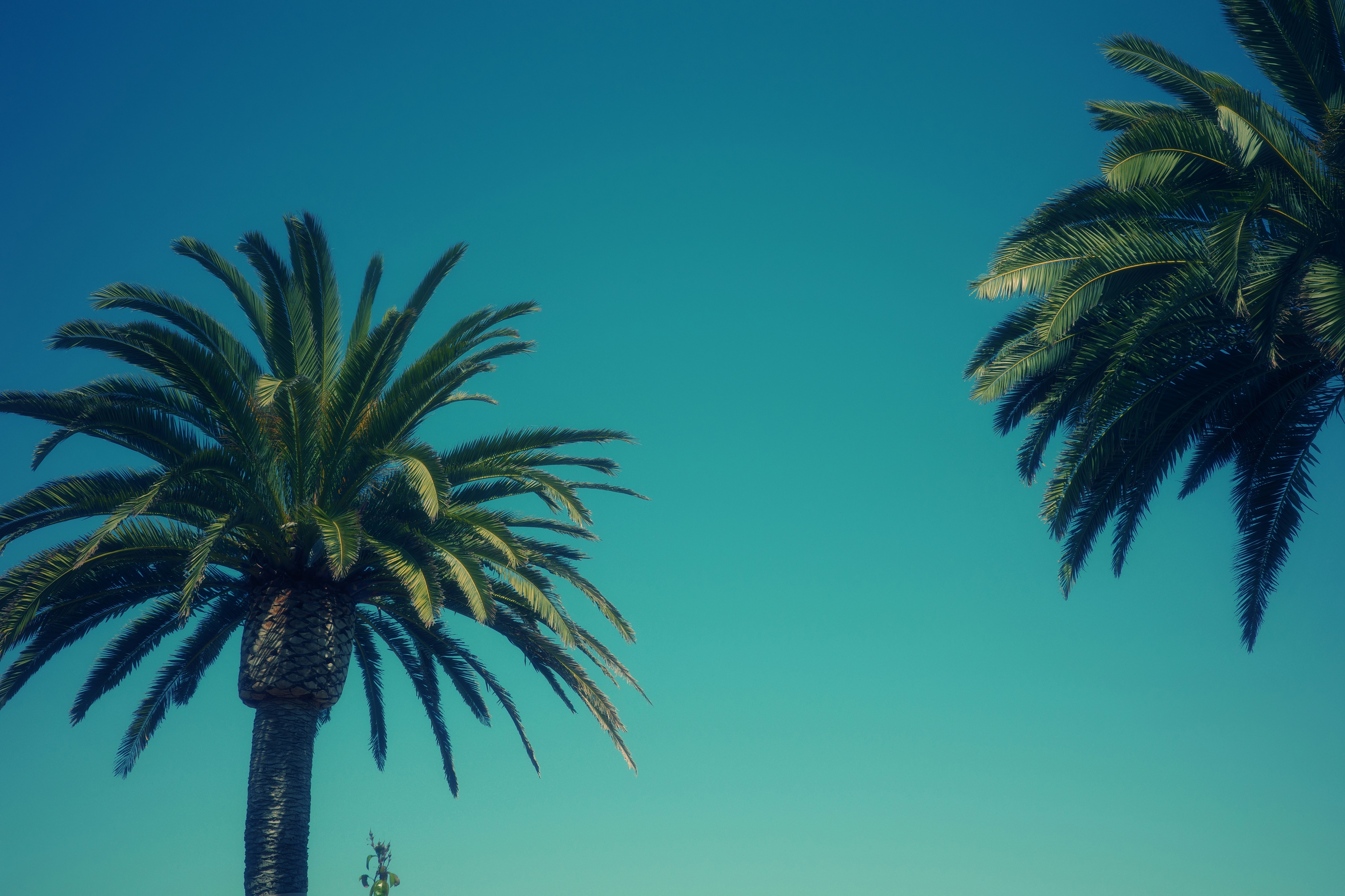 THCA in California ⁢2025:⁢ Navigating Legal Lines