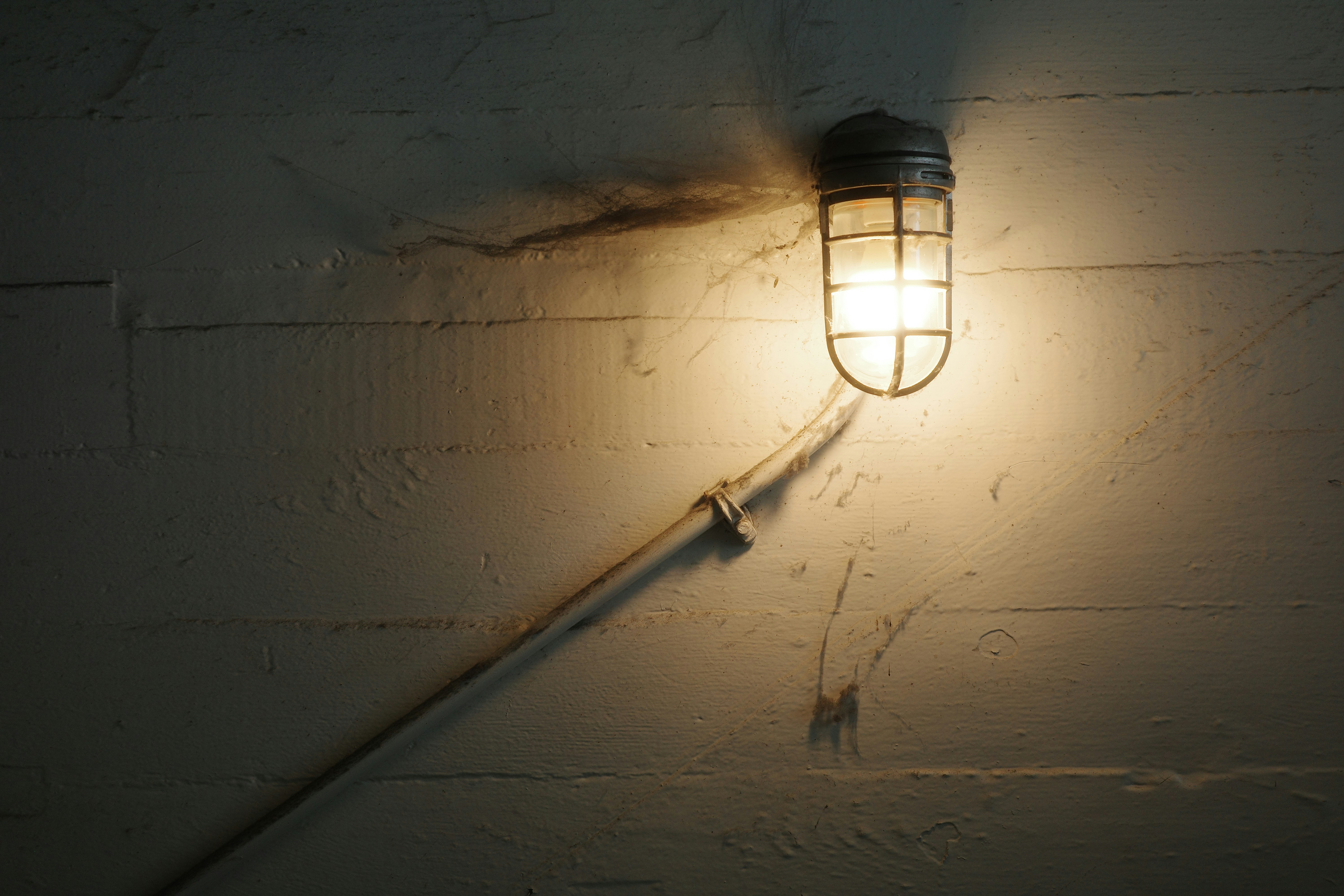 Photo by abduzeedo
