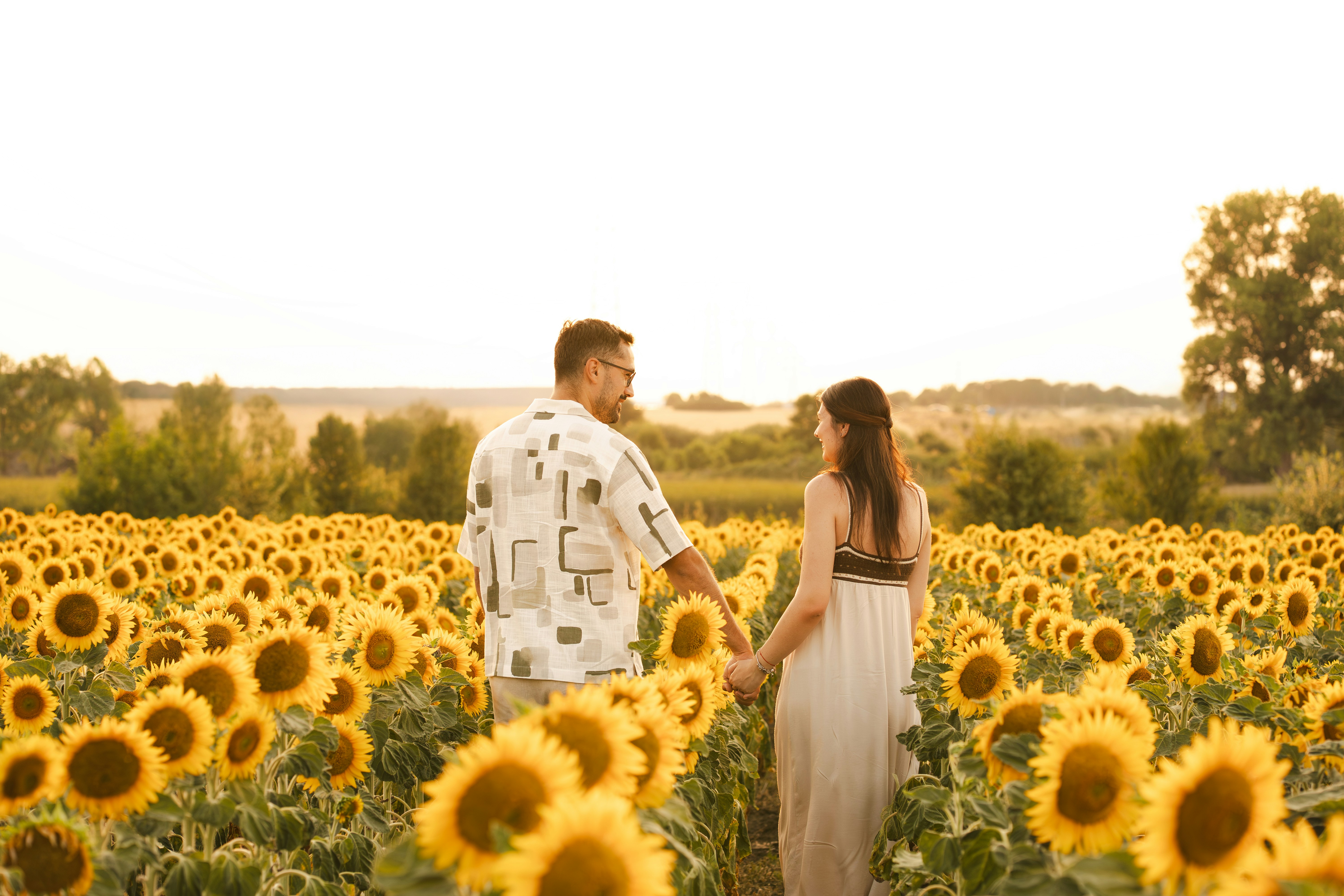 Una pareja camina por un campo de girasoles.