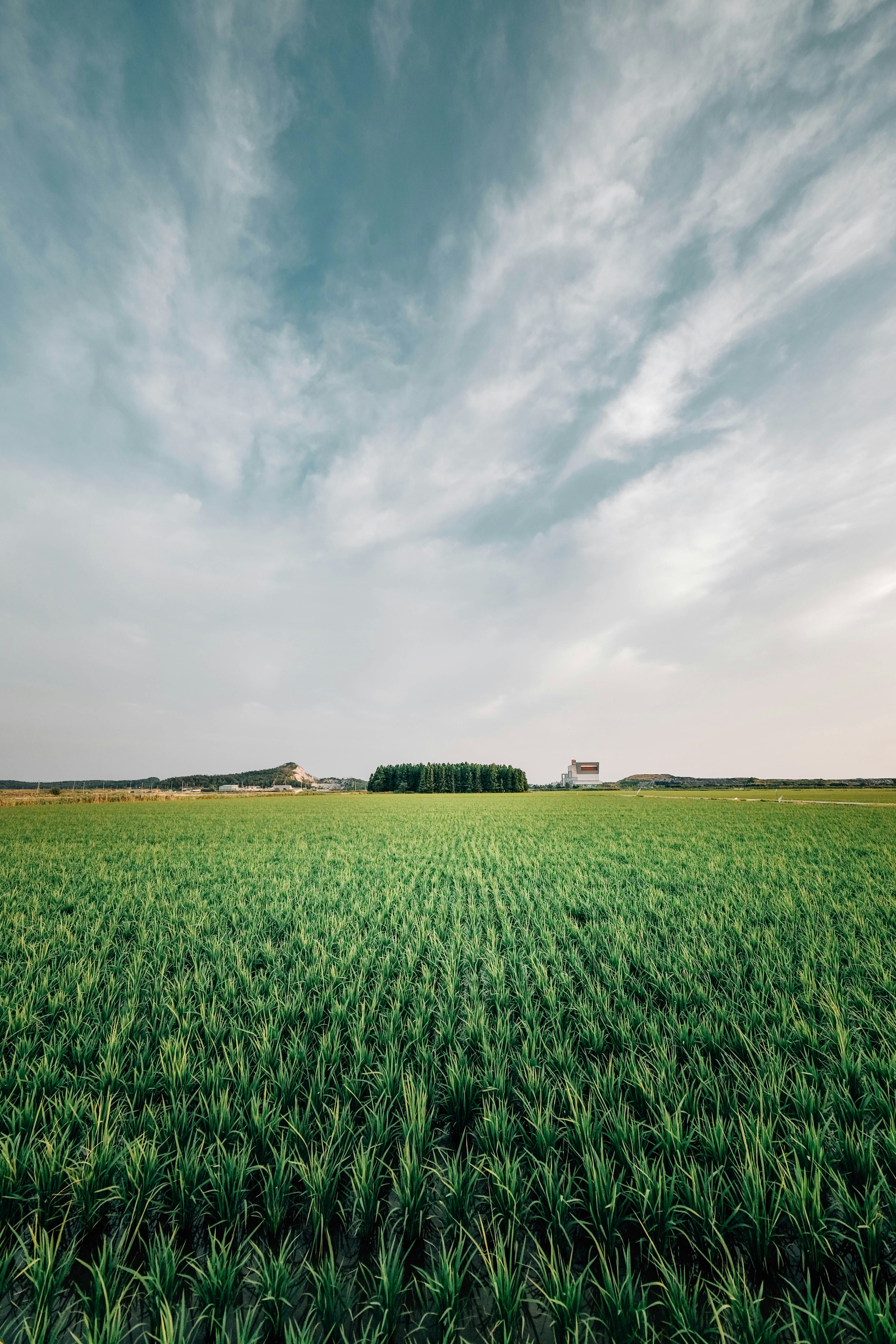 Photo by insungpandora