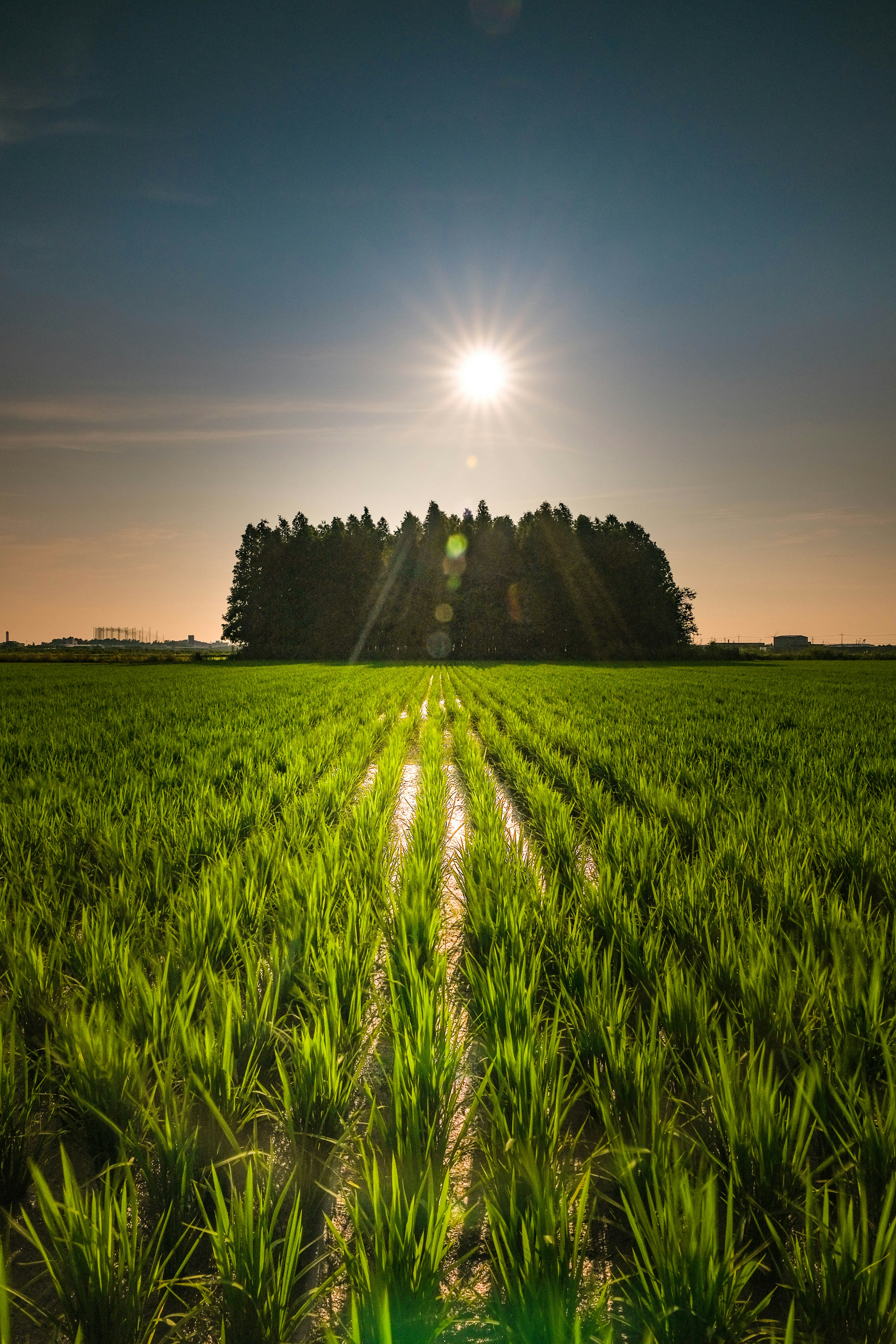 Photo by insungpandora