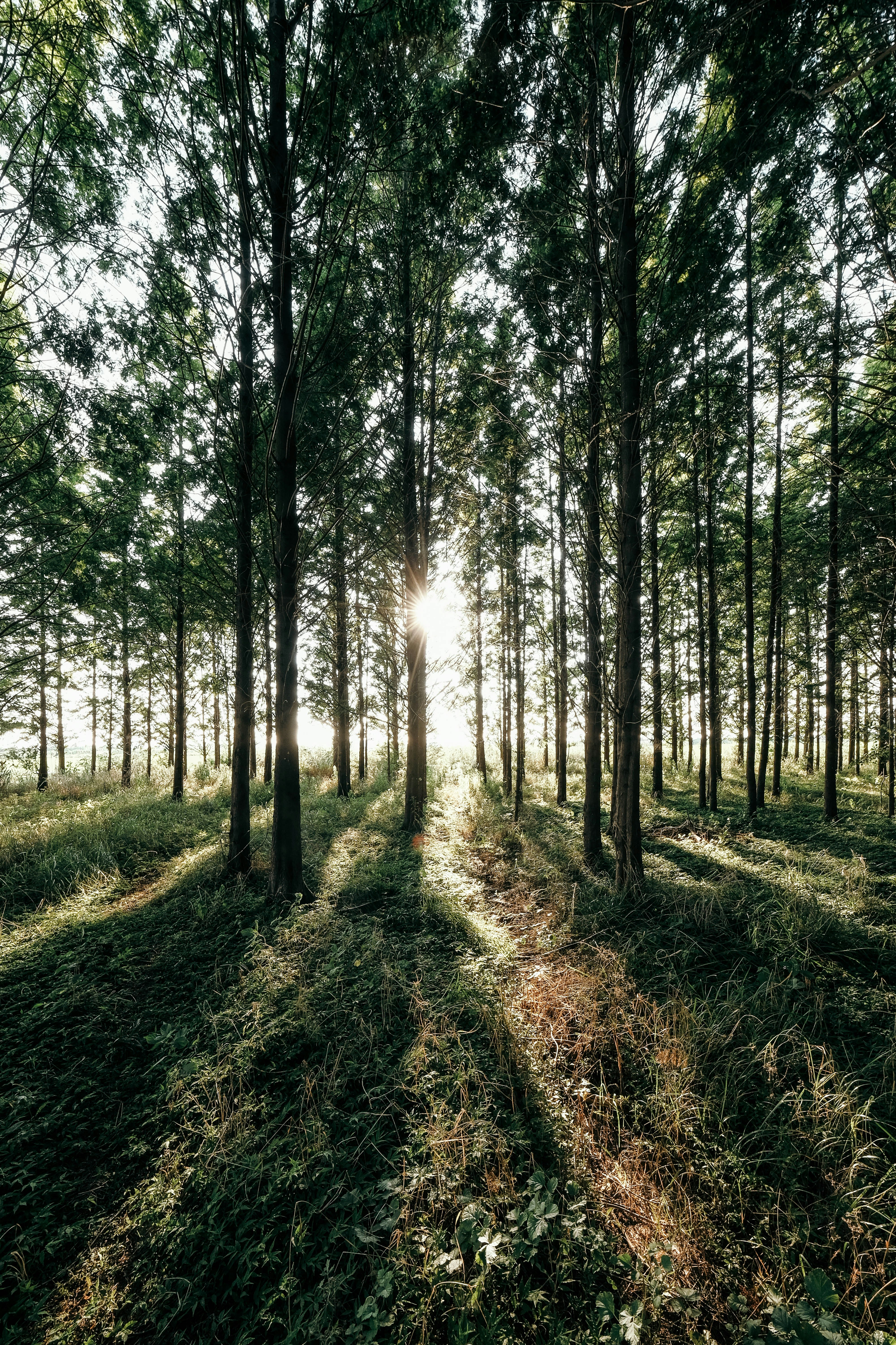 Photo by insungpandora