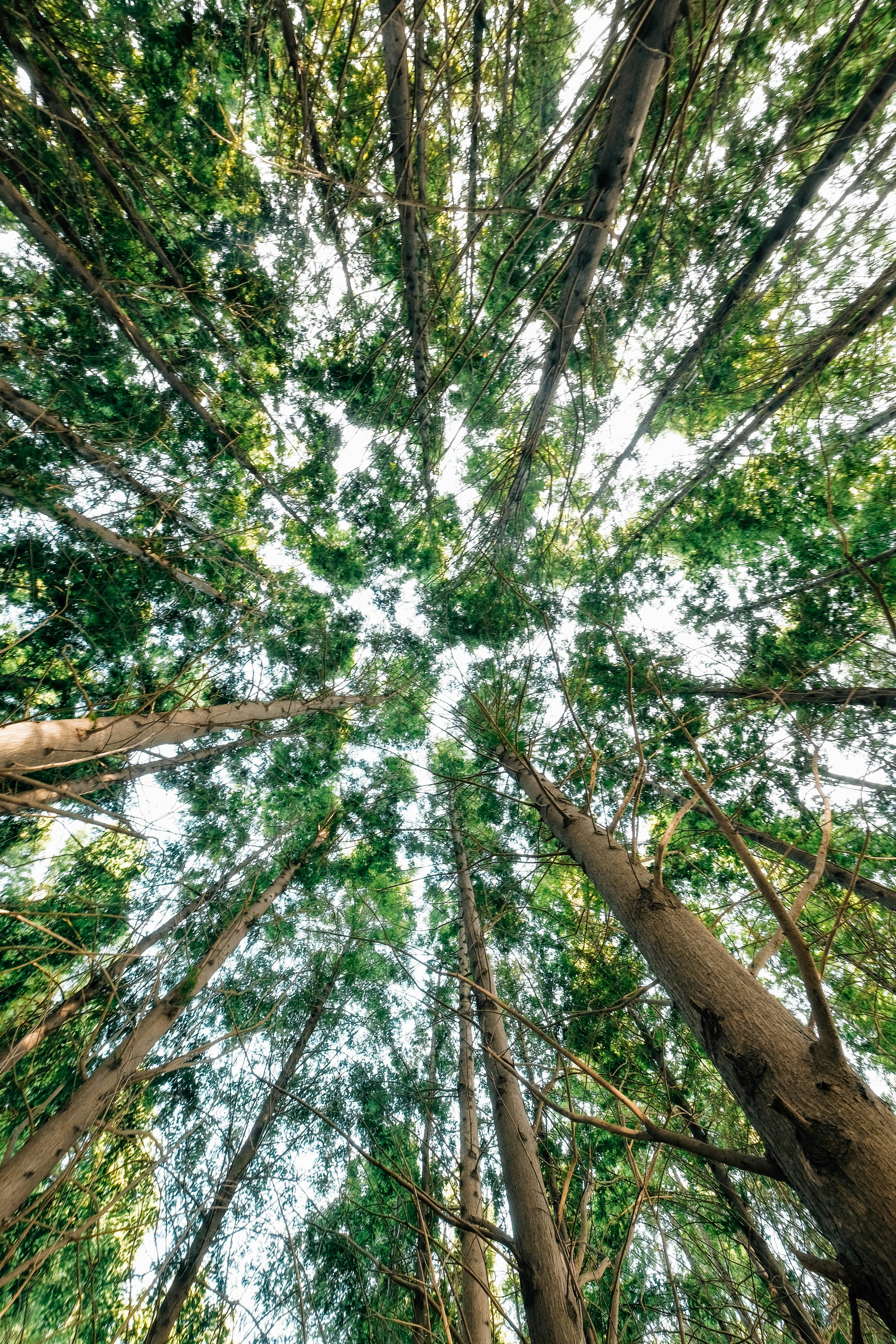 Photo by insungpandora