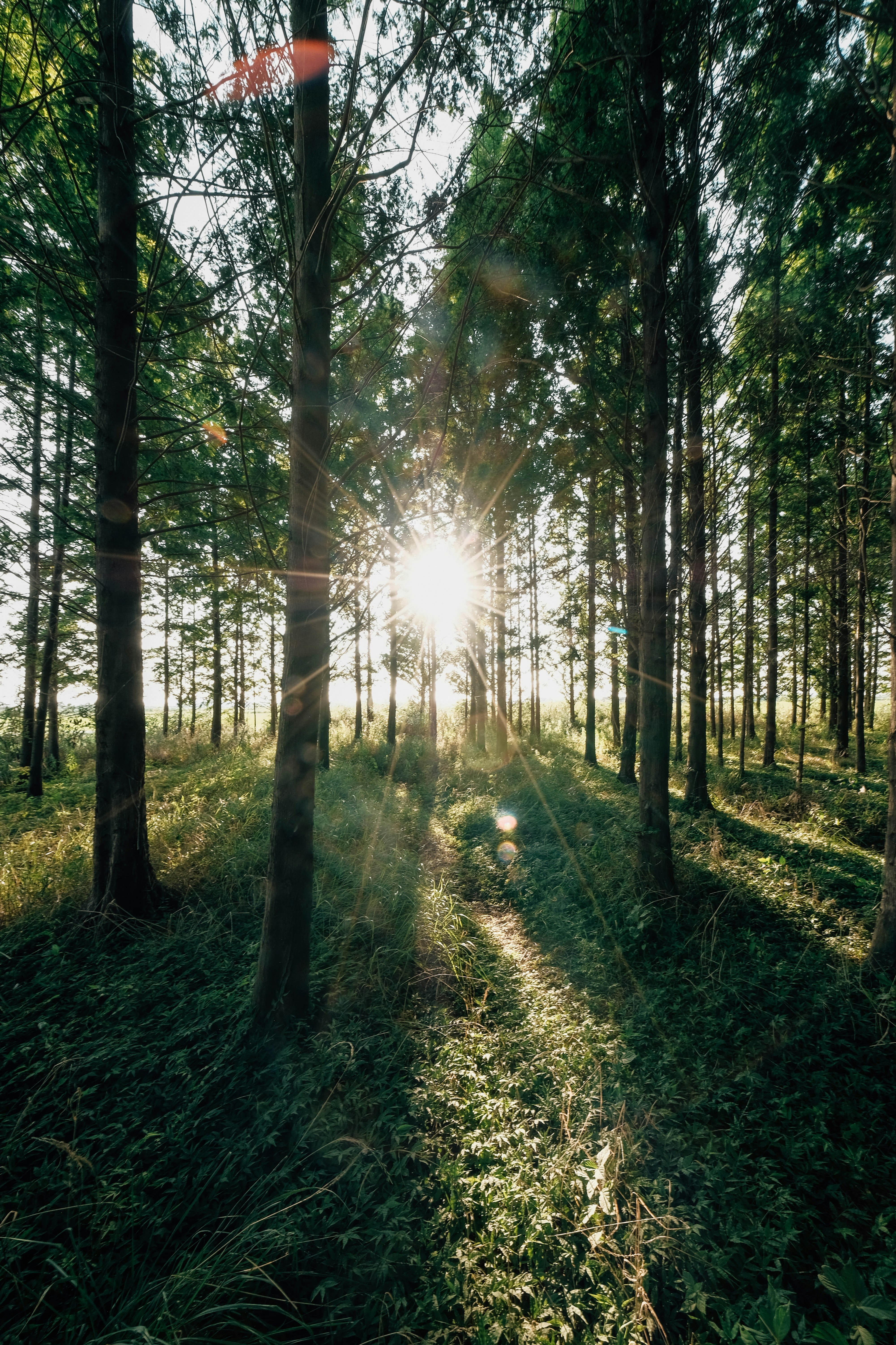 Photo by insungpandora