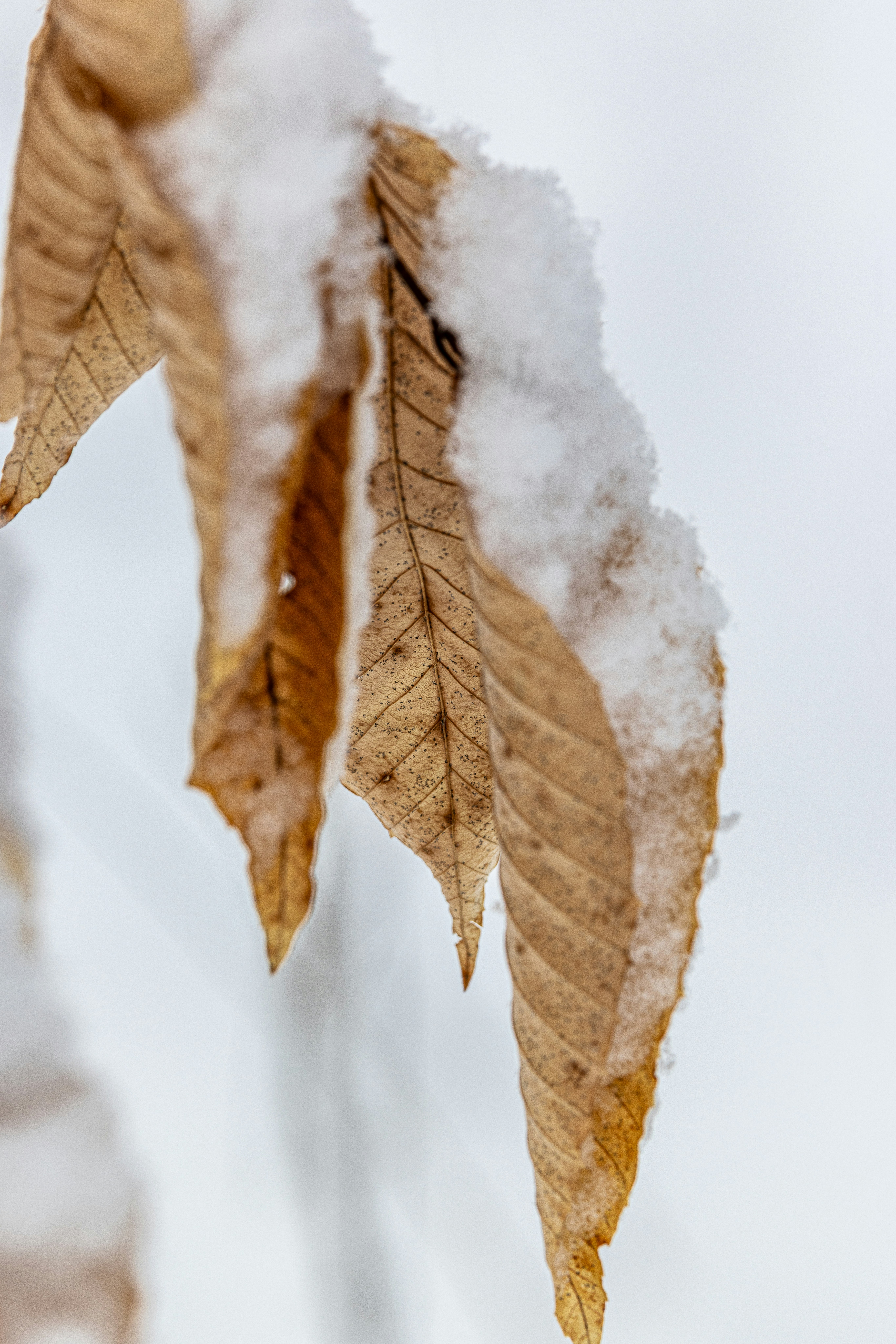 Photo by mabaseballdad33040