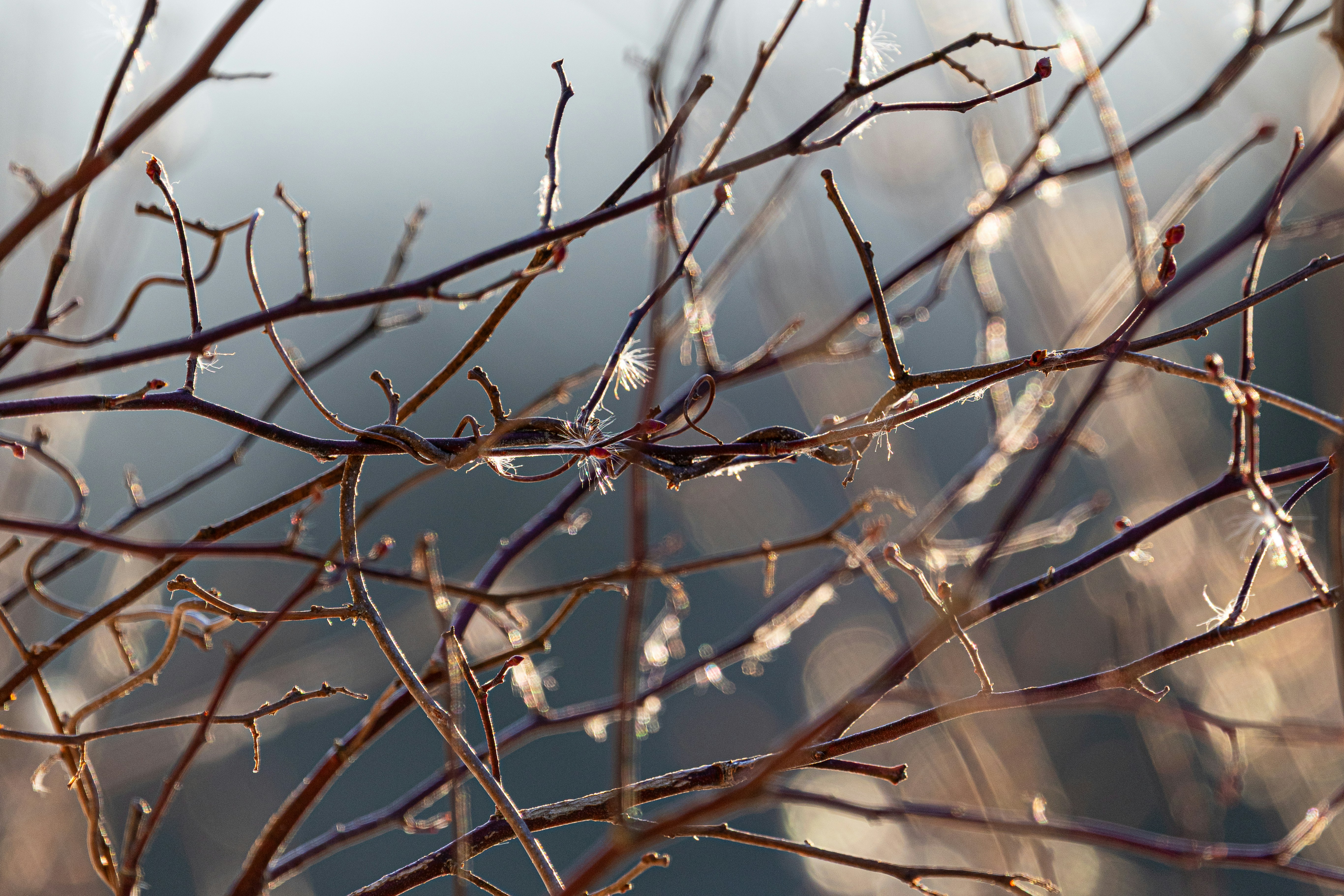 Photo by mabaseballdad33040