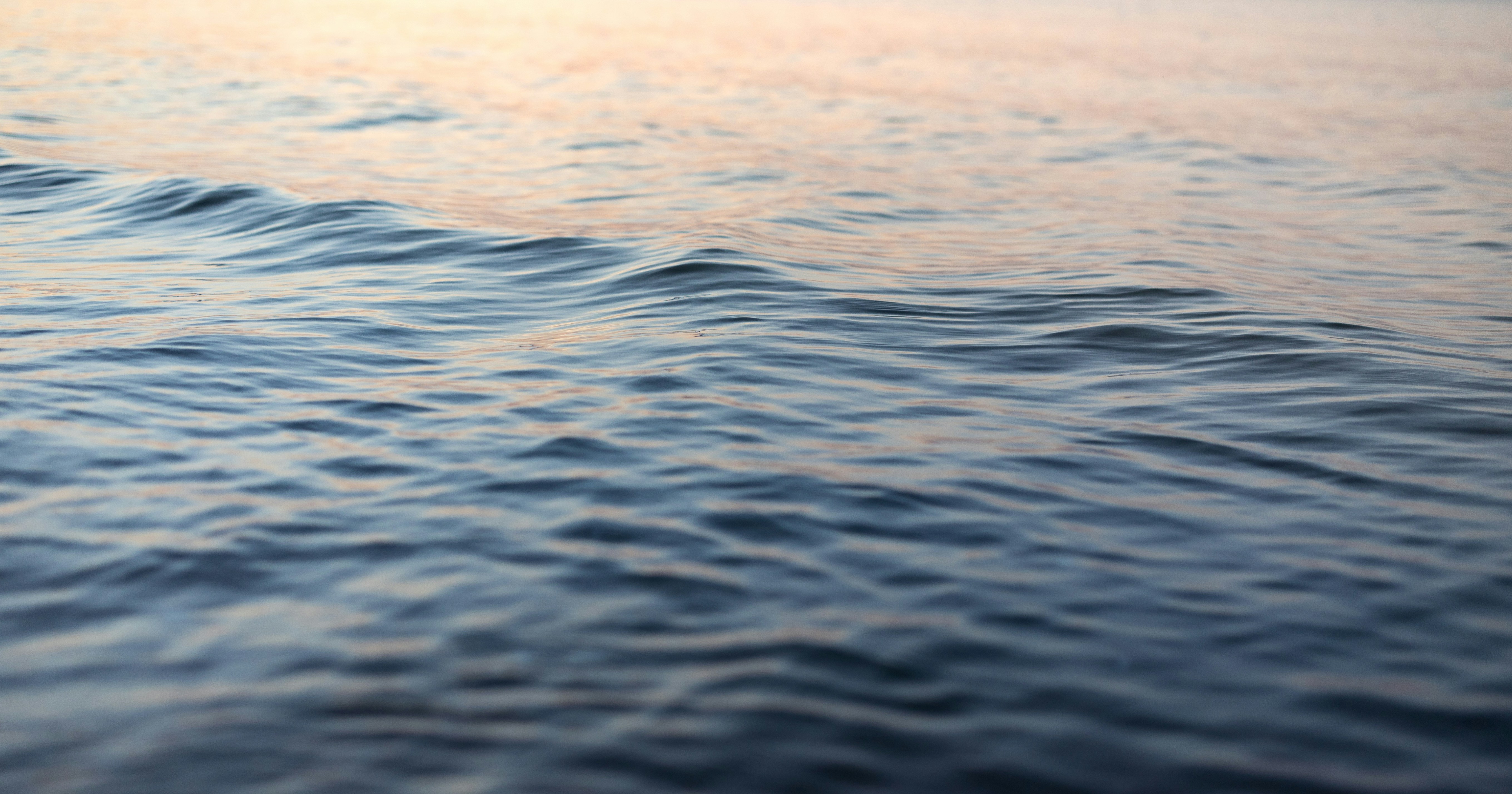 Photo by marekpiwnicki