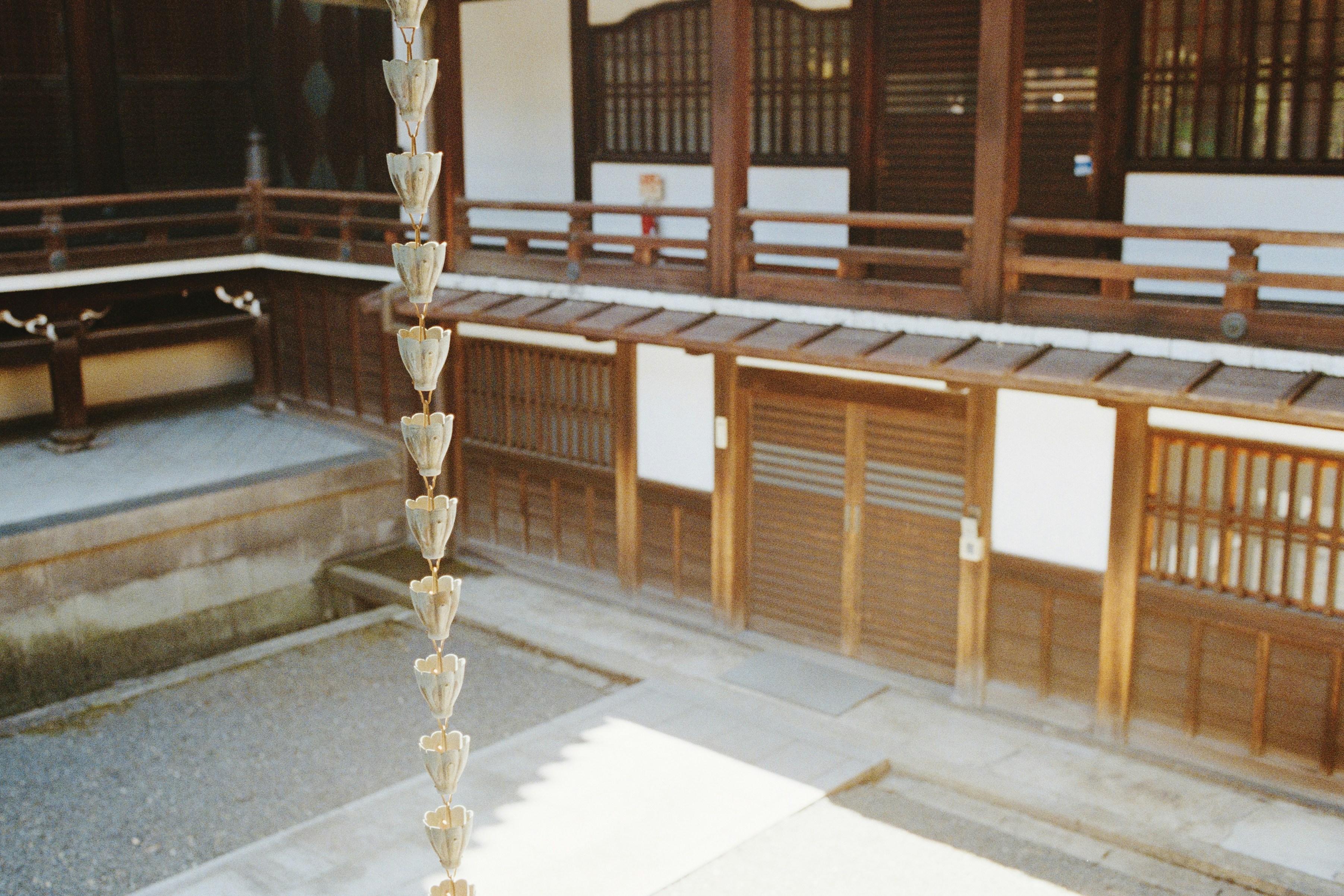 Temple contact support