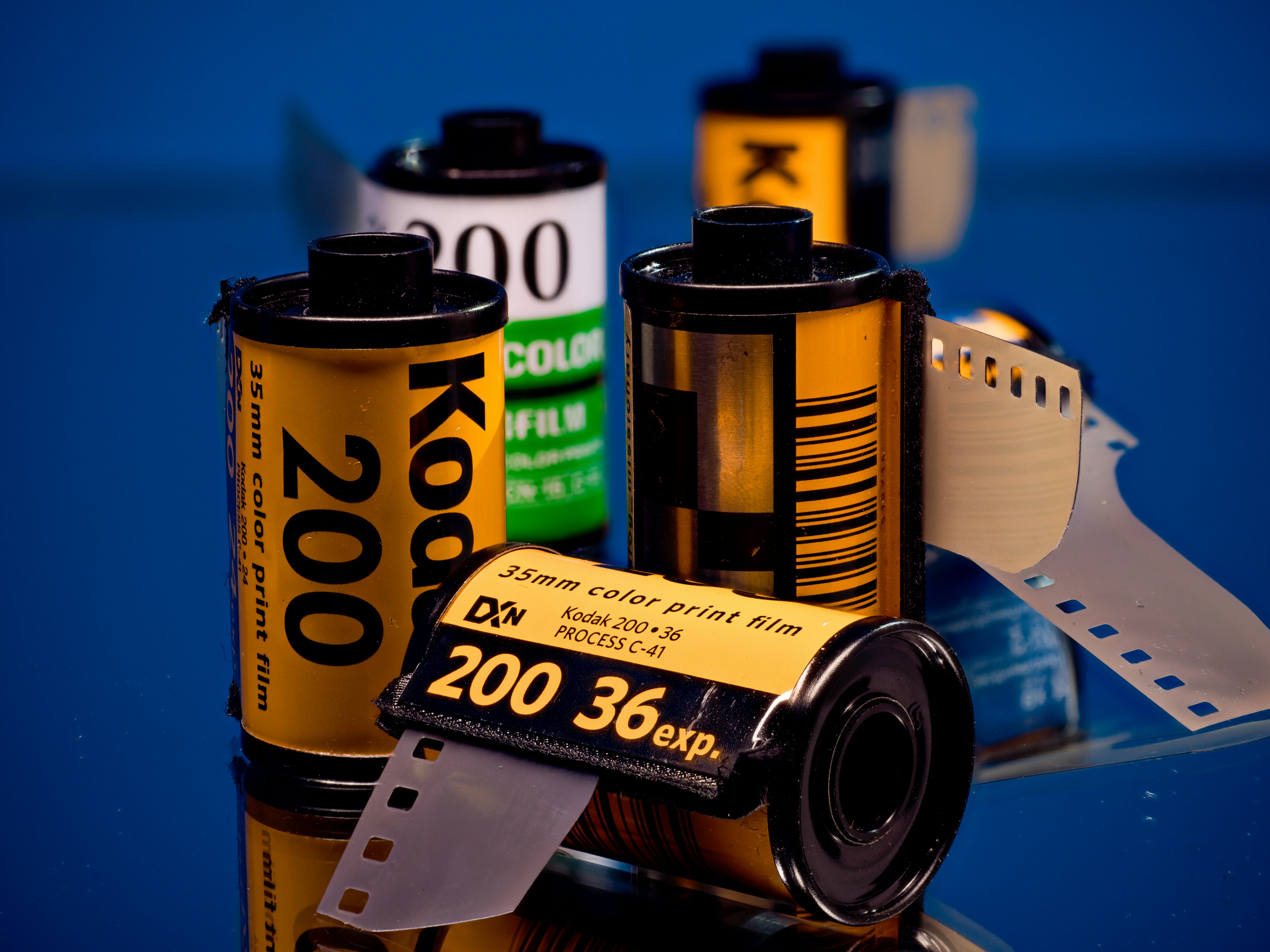 아날로그 사진 필름롤 감성