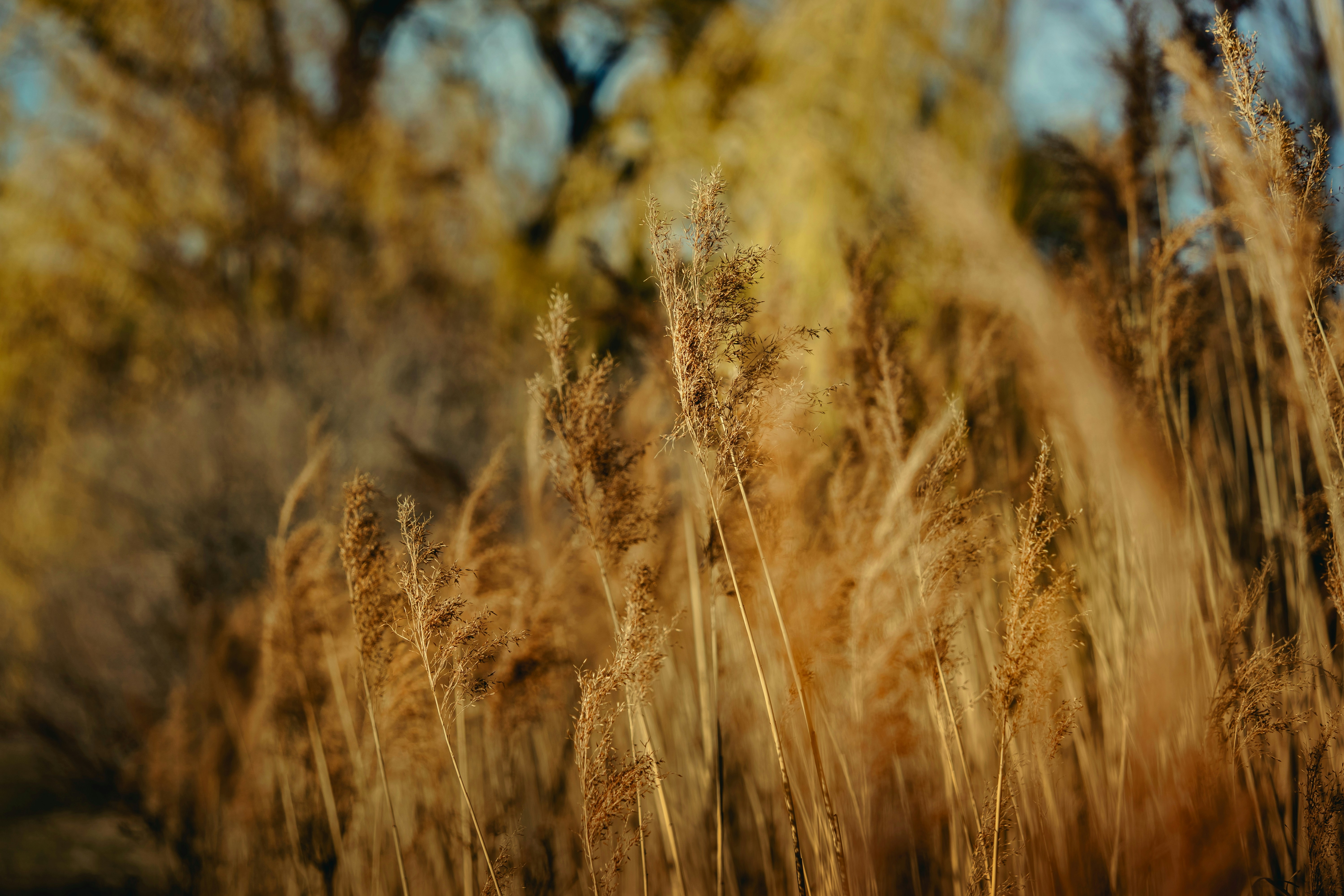 Photo by pino_rumbero