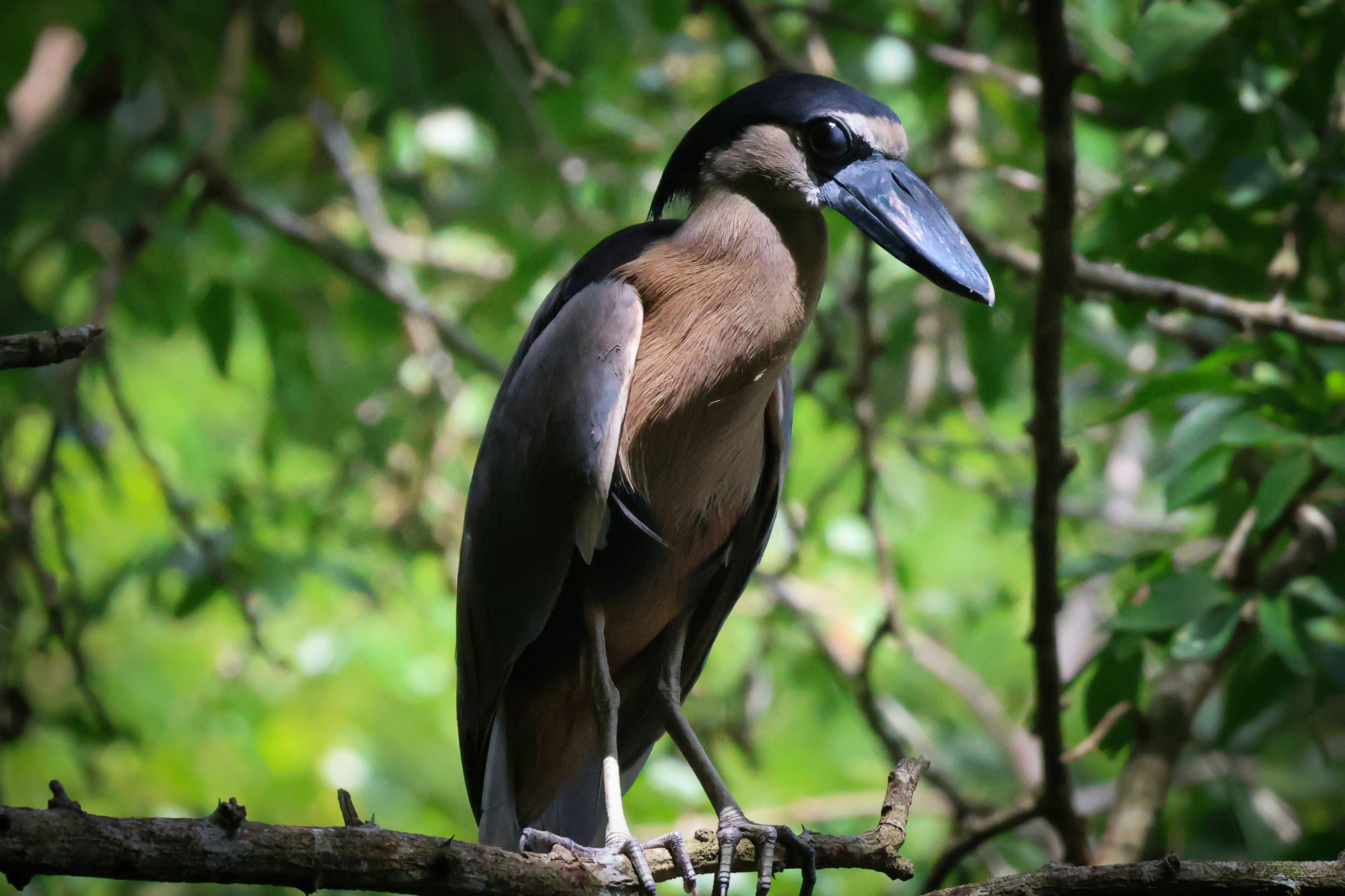 Photo by traveleroohlala