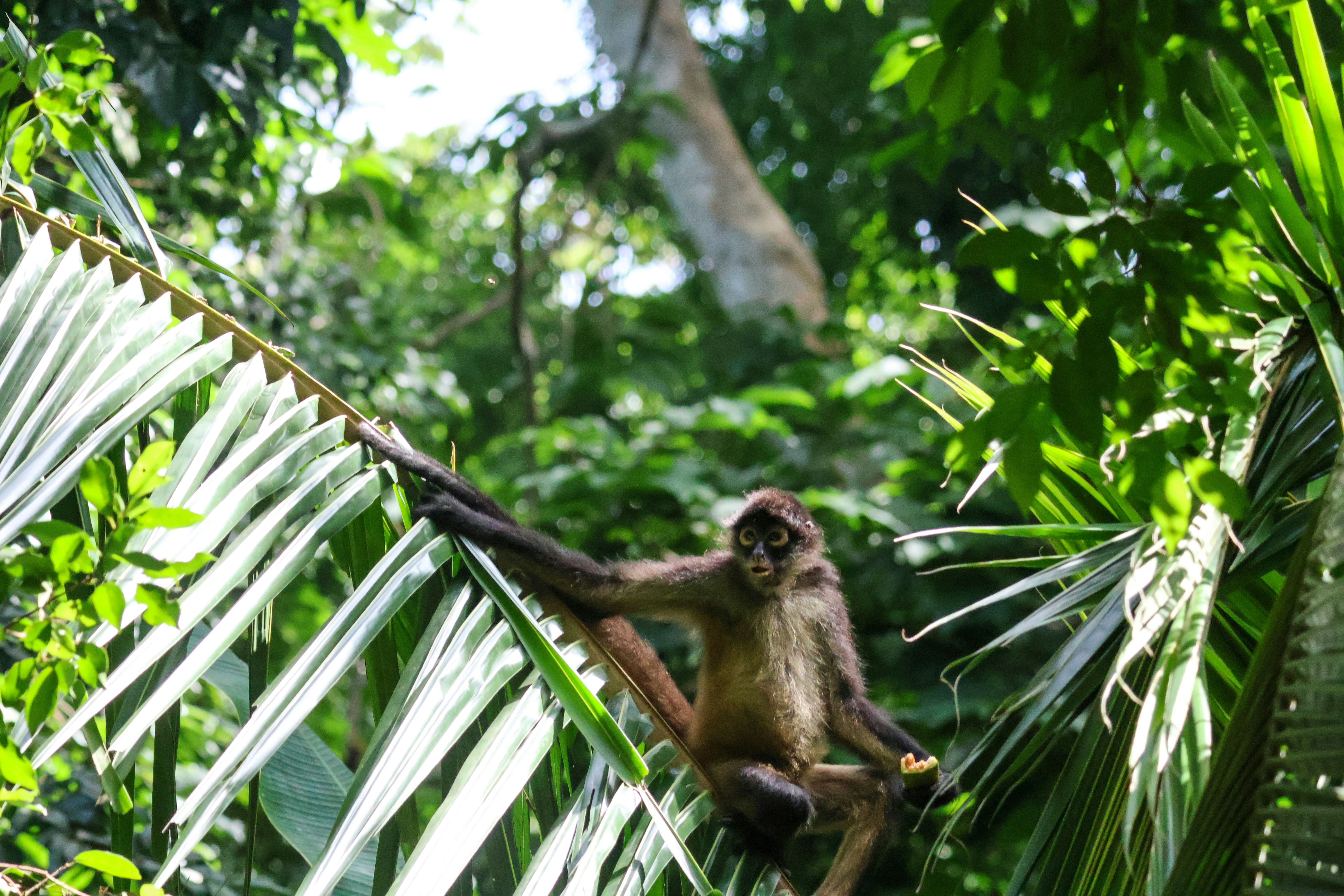 Photo by traveleroohlala