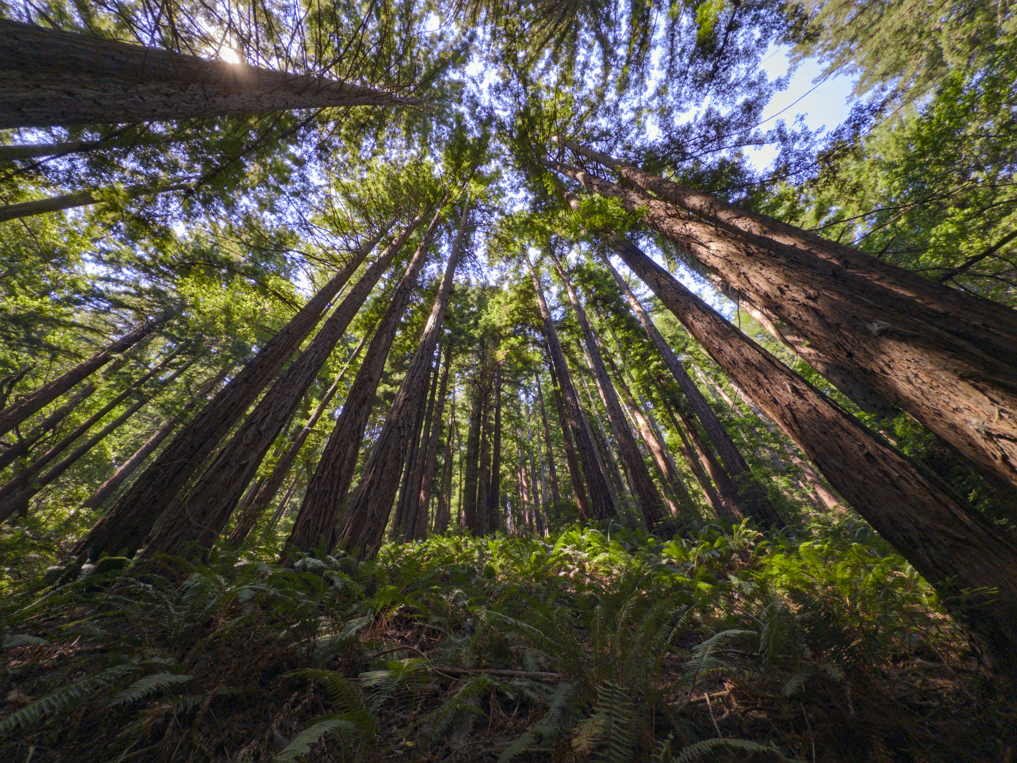 Friday Morning Constitutional: Freeway Shootout In Oakland Leads to Arrest In Walnut Creek