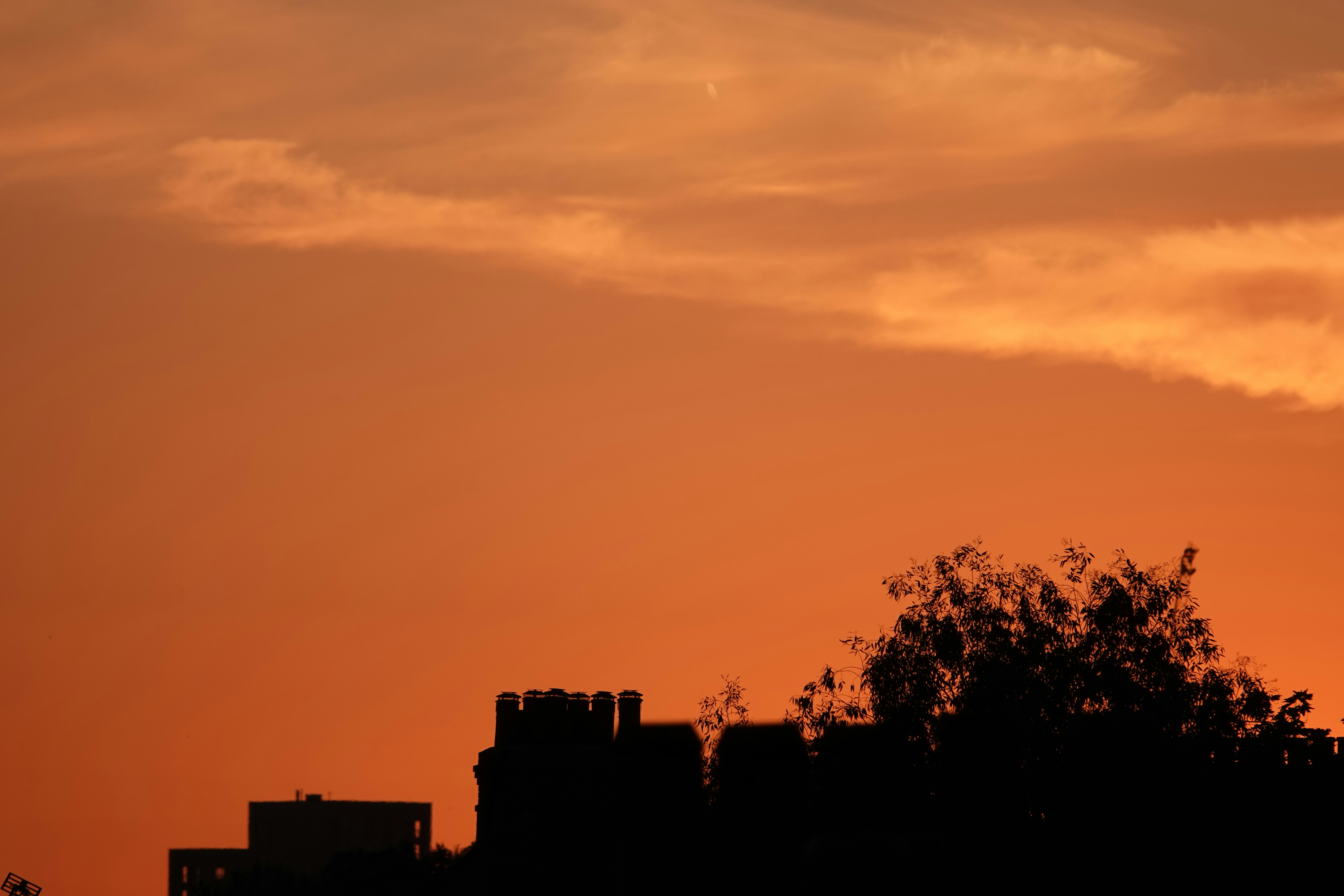 Photo by priyankachechi29